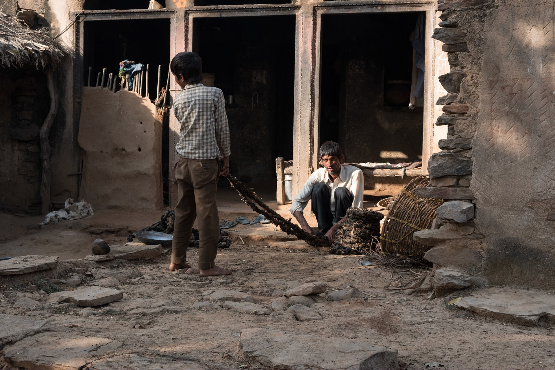 Coiling tobacco to dry