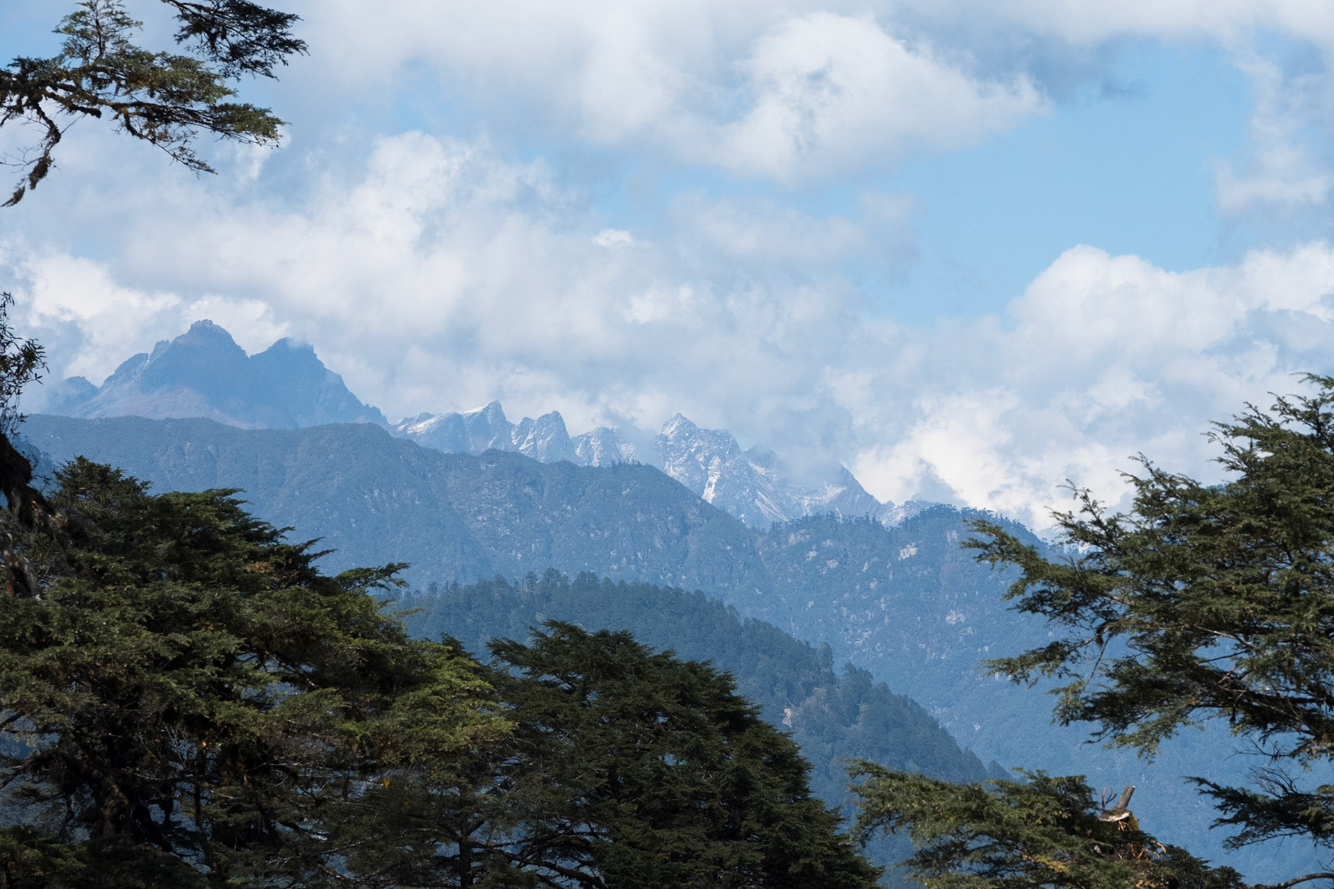 A few of the mountains visible fron Dochula Pass