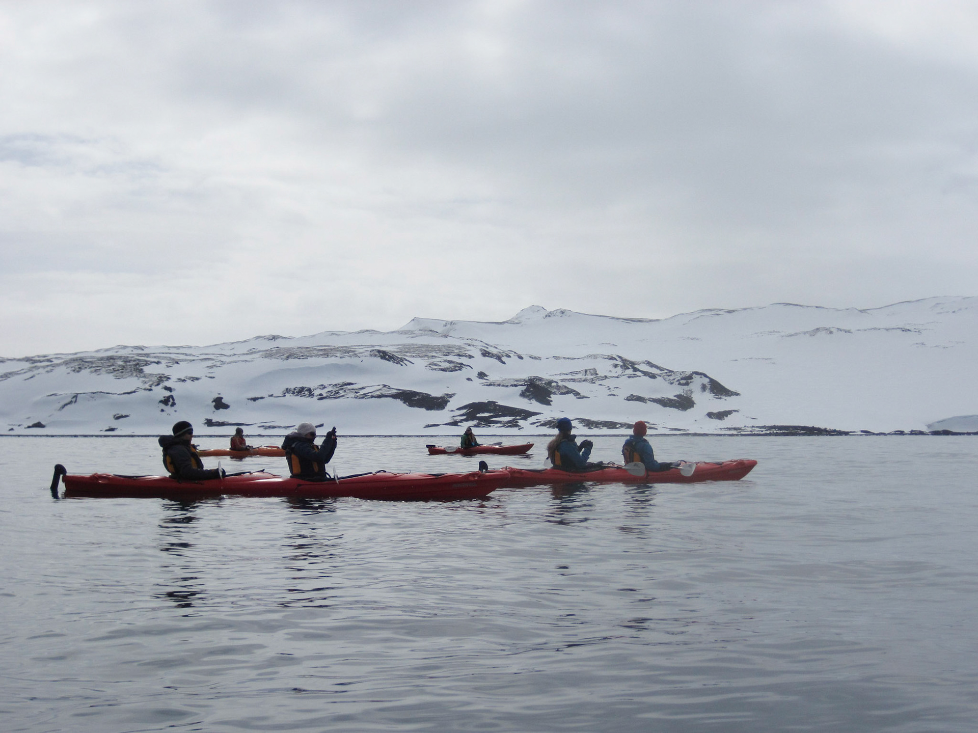 Kayaking near Carlini base, King George Island