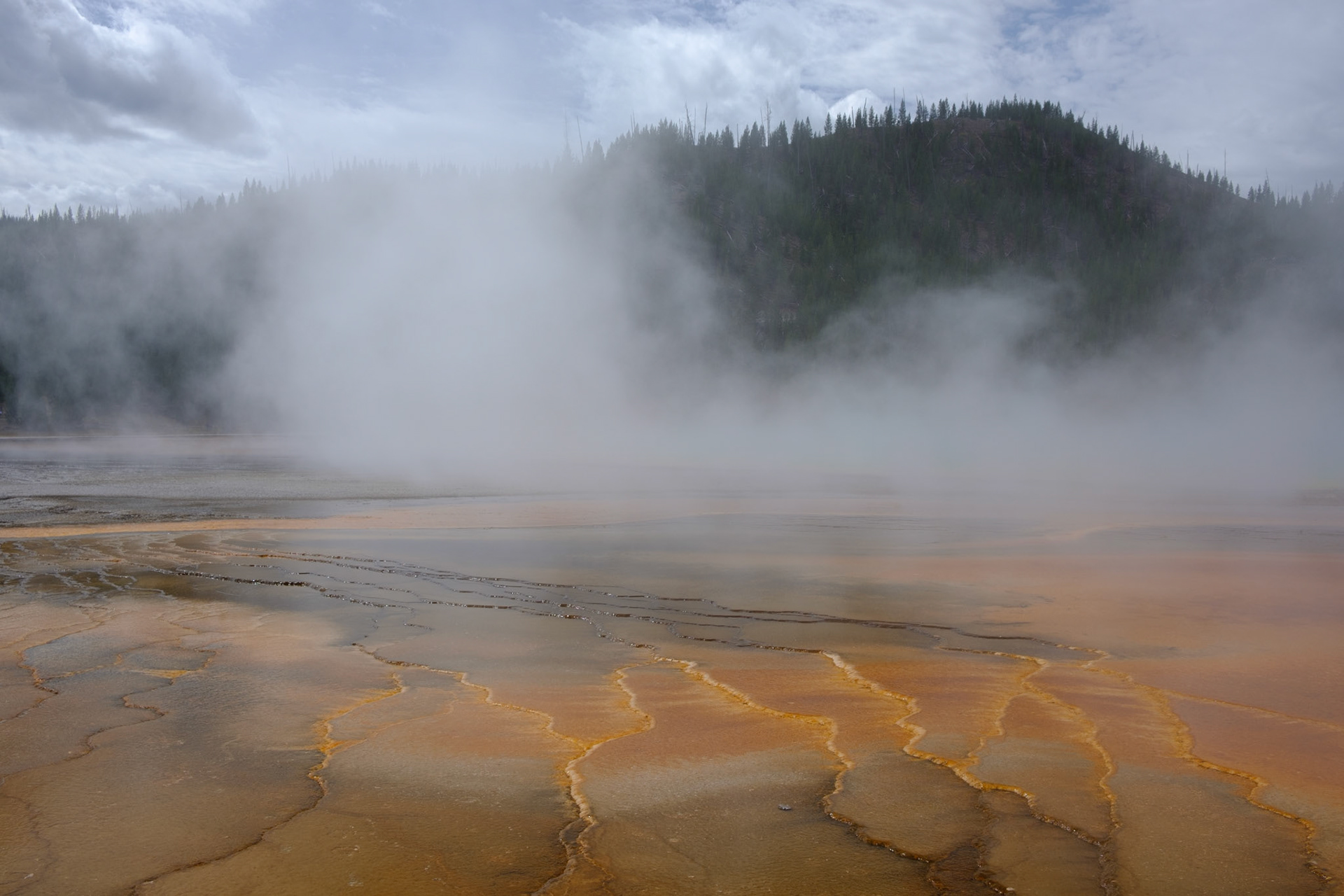 Steam rising from Grand Prismatic Spring