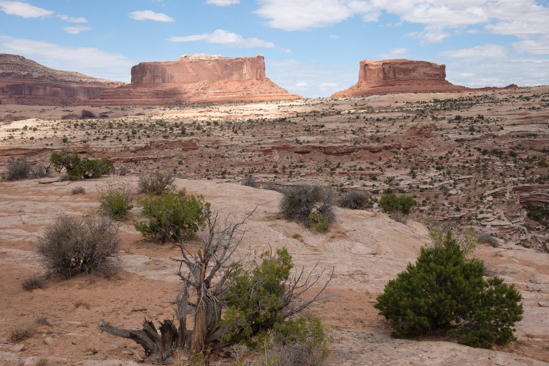 Monitor and Merrimac Buttes