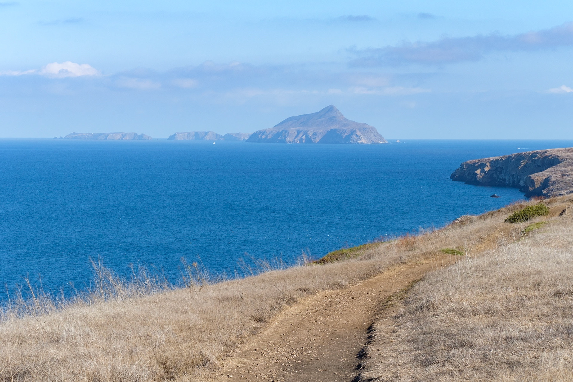 Santa Cruz and Anacapa