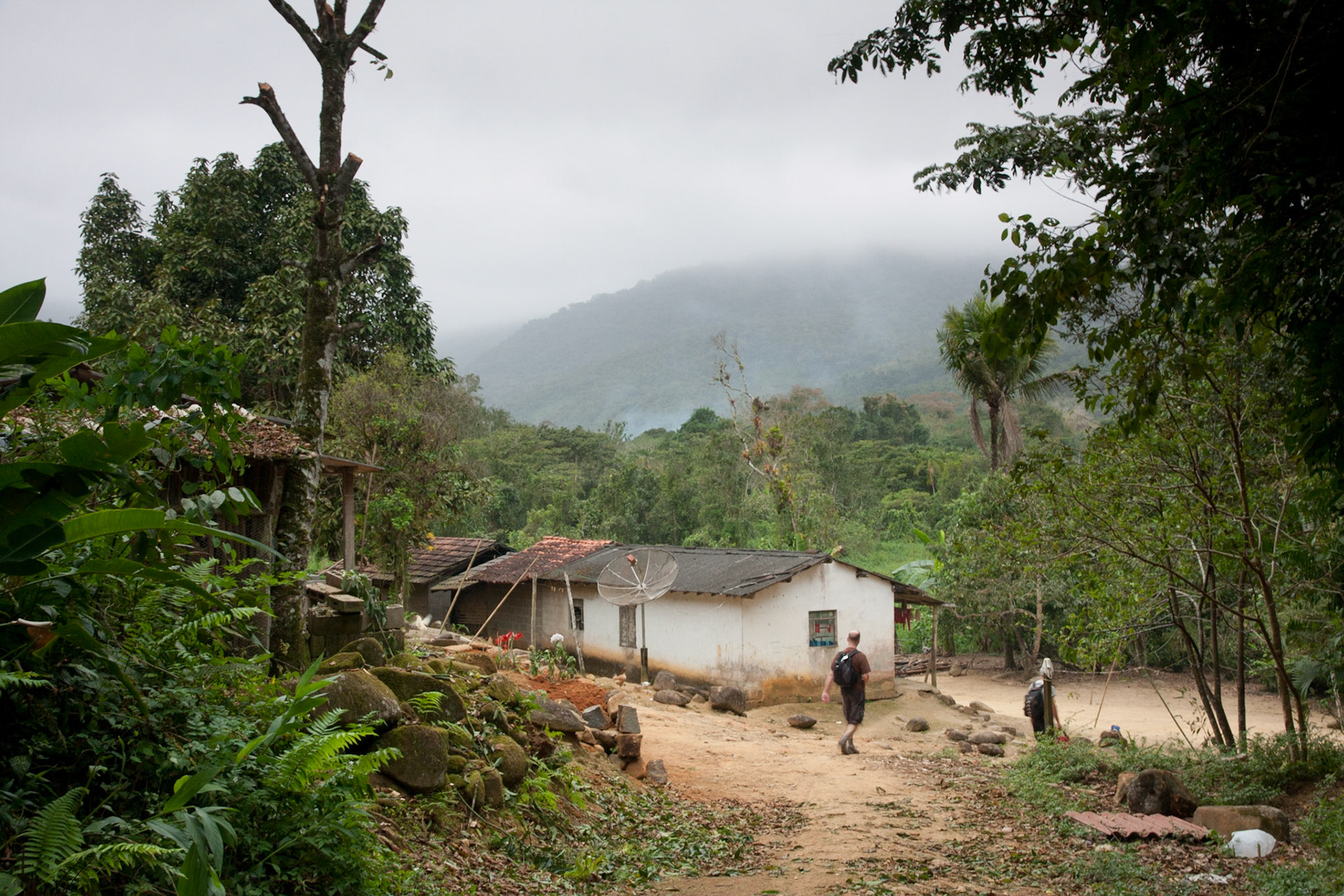 Walking through the Atlantic rainforest