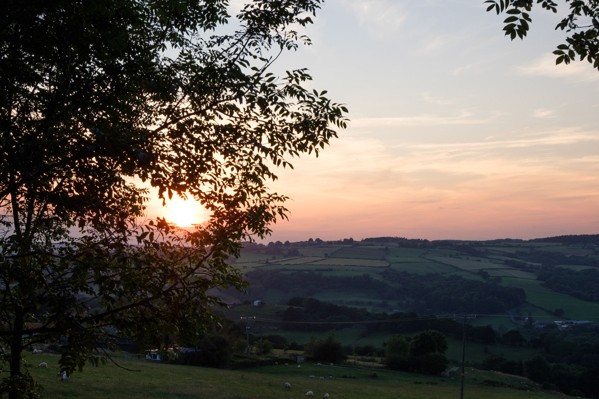 Sunset from Hollyhock