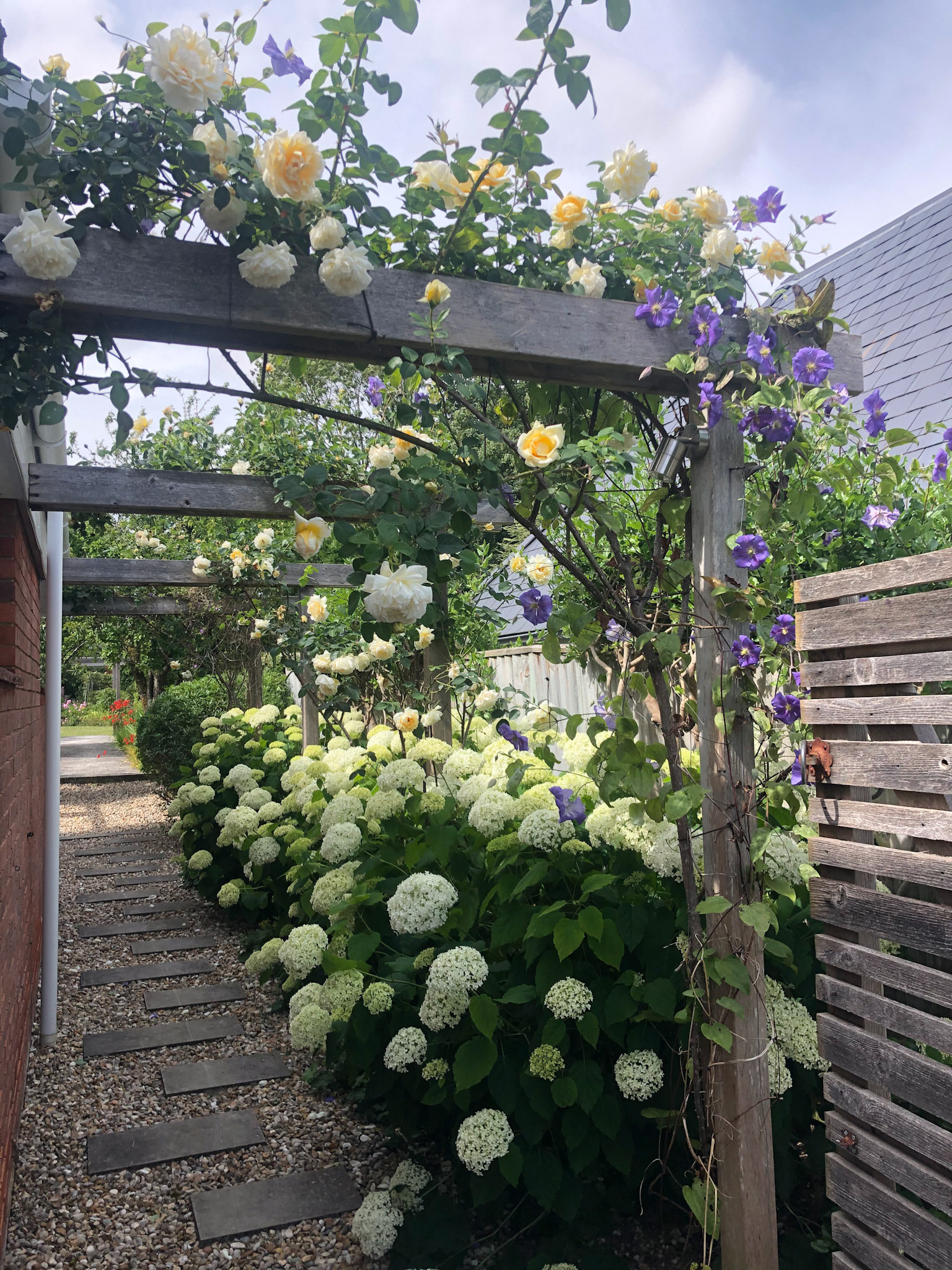 Side passage in full bloom