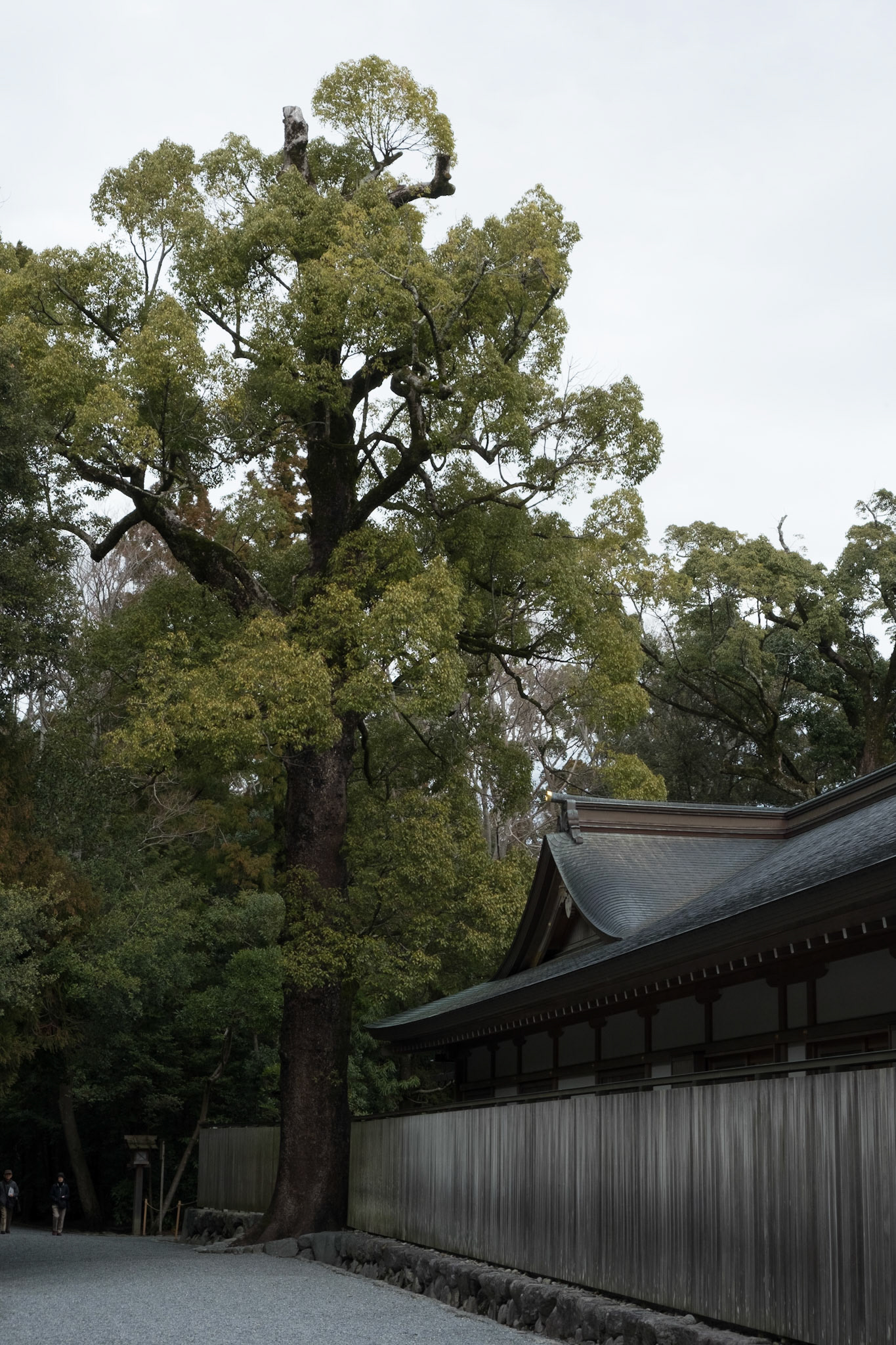 Ise Jingu outer shrine (Geku)