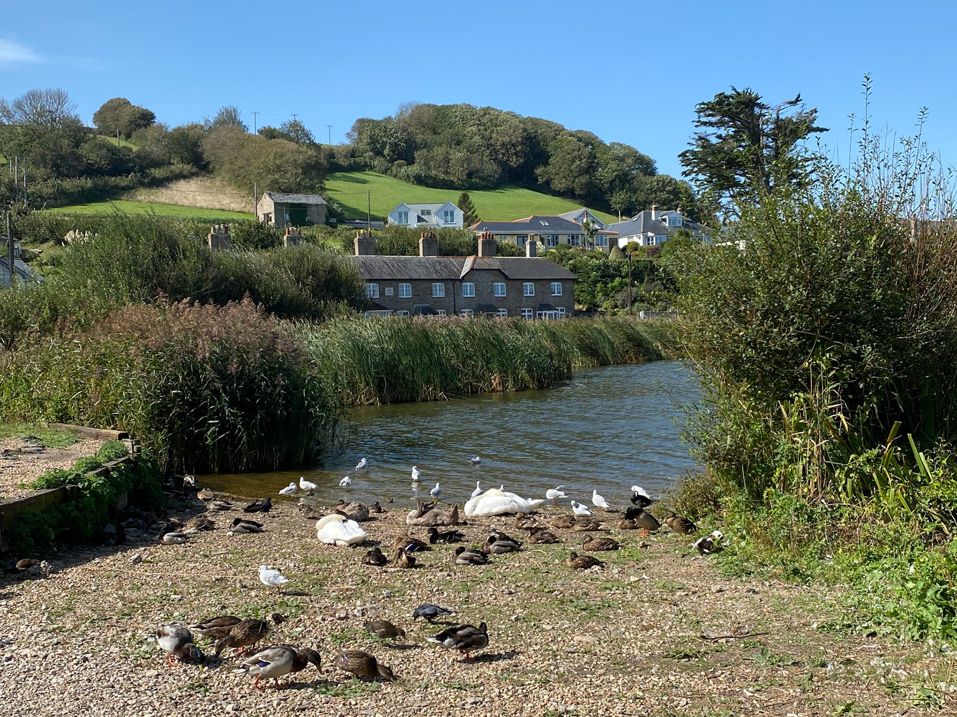 At Slapton Ley, Torcross