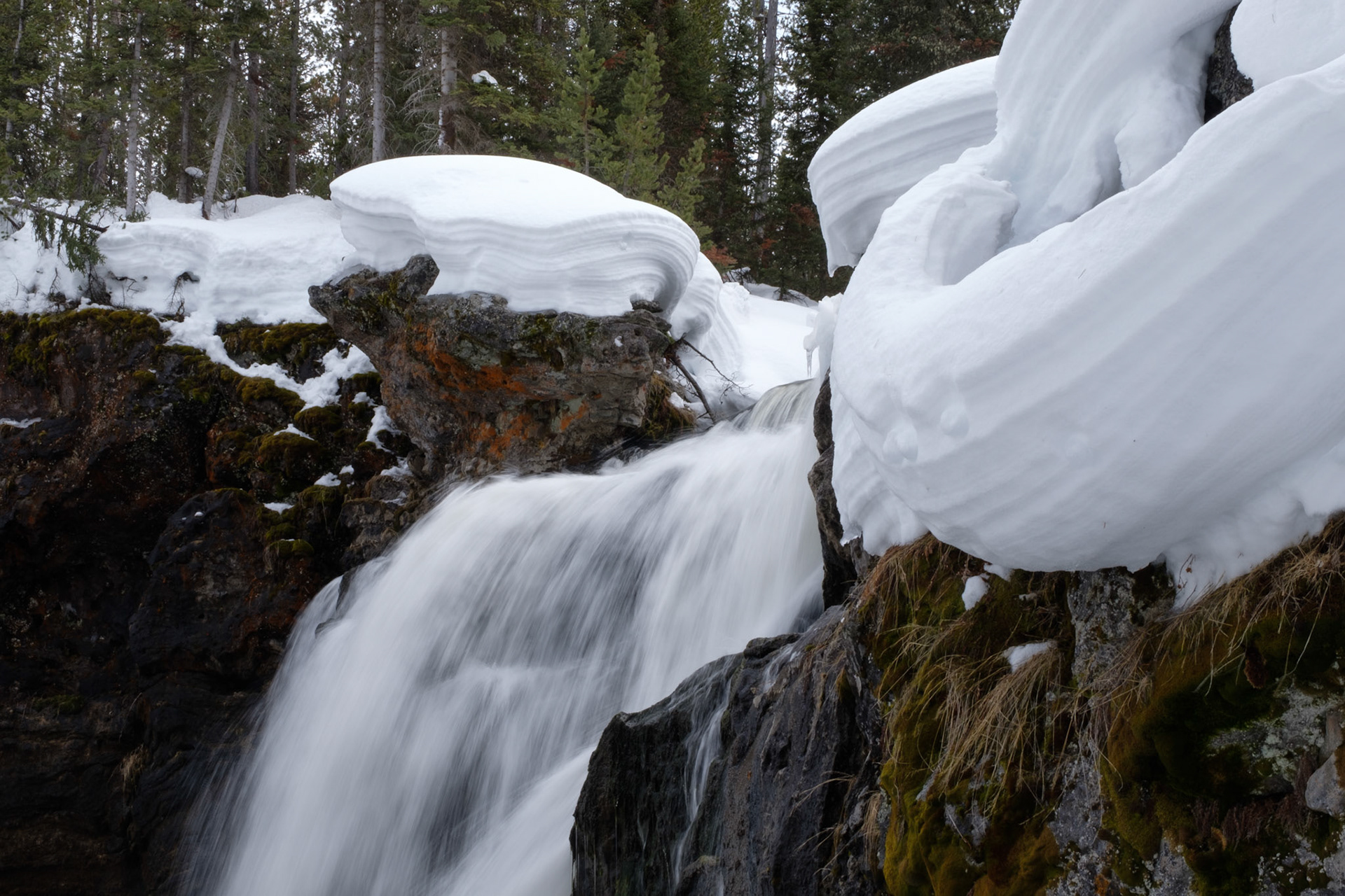 Moose Falls, Yellowstone NP