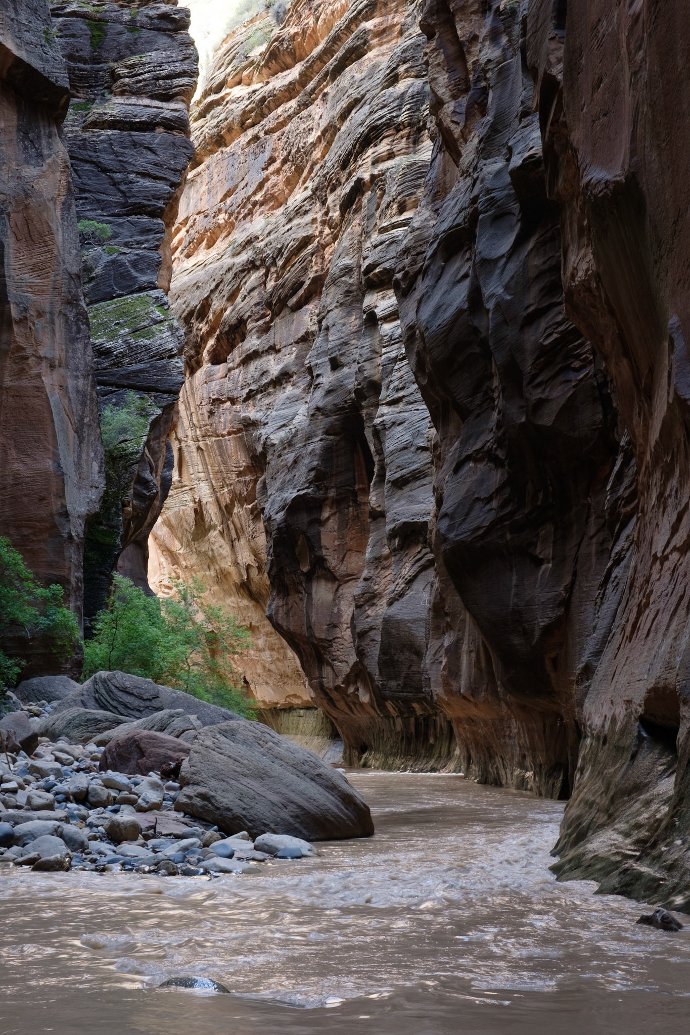 Hiking The Narrows, Zion