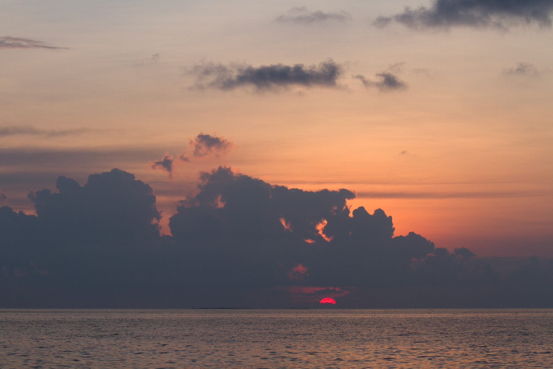 Sunset, from the boat (dolphin cruise)