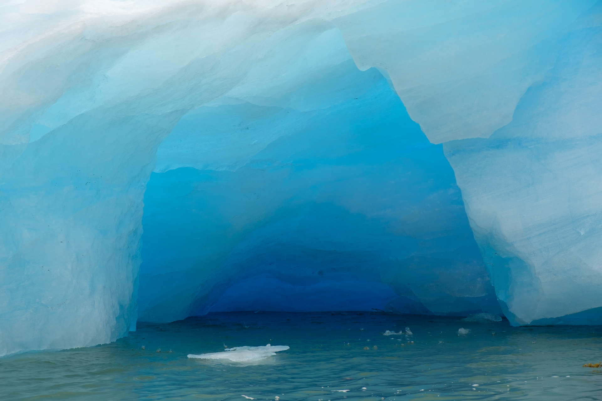 Iceberg, LeConte Bay