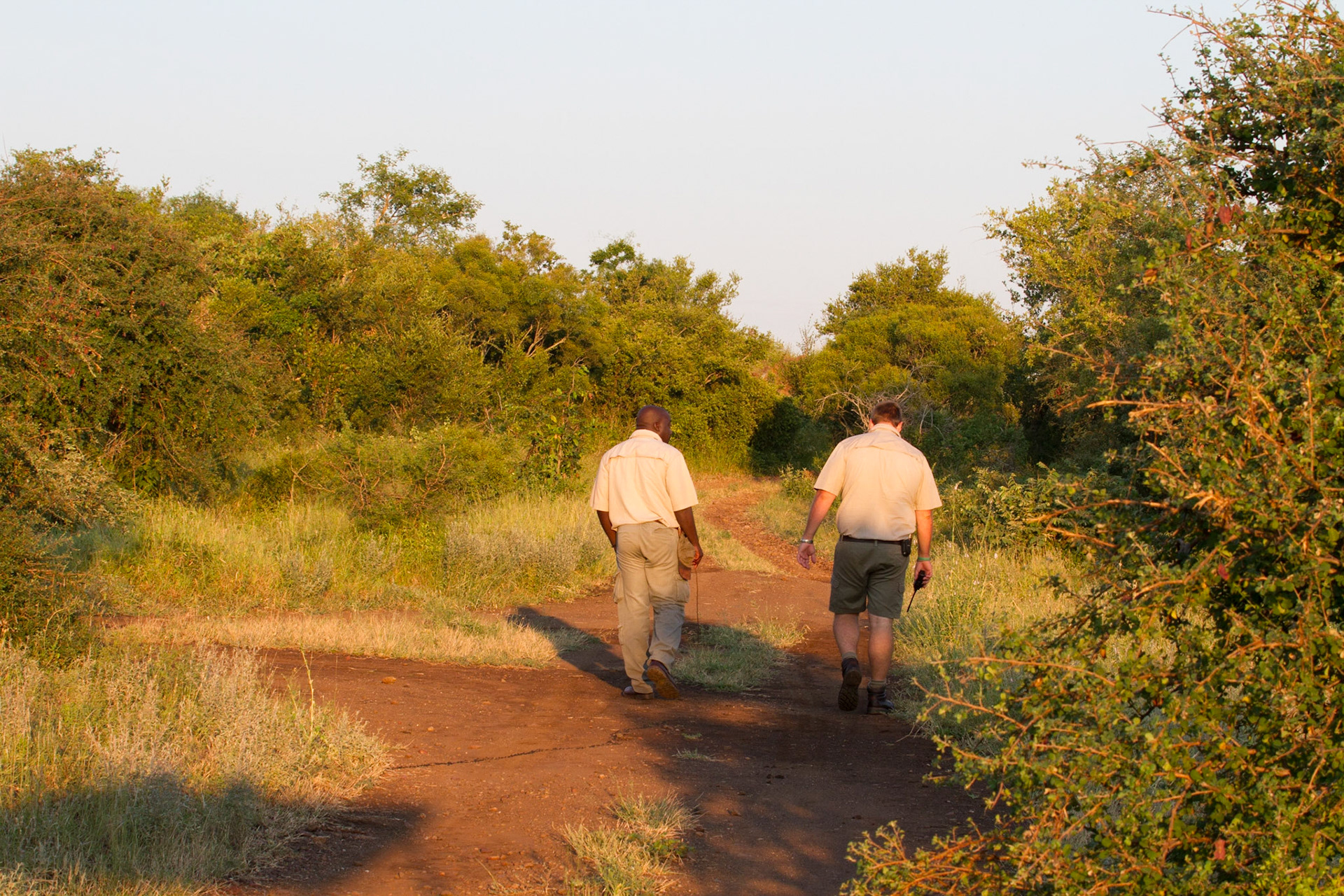 Glass and Nico following some tracks