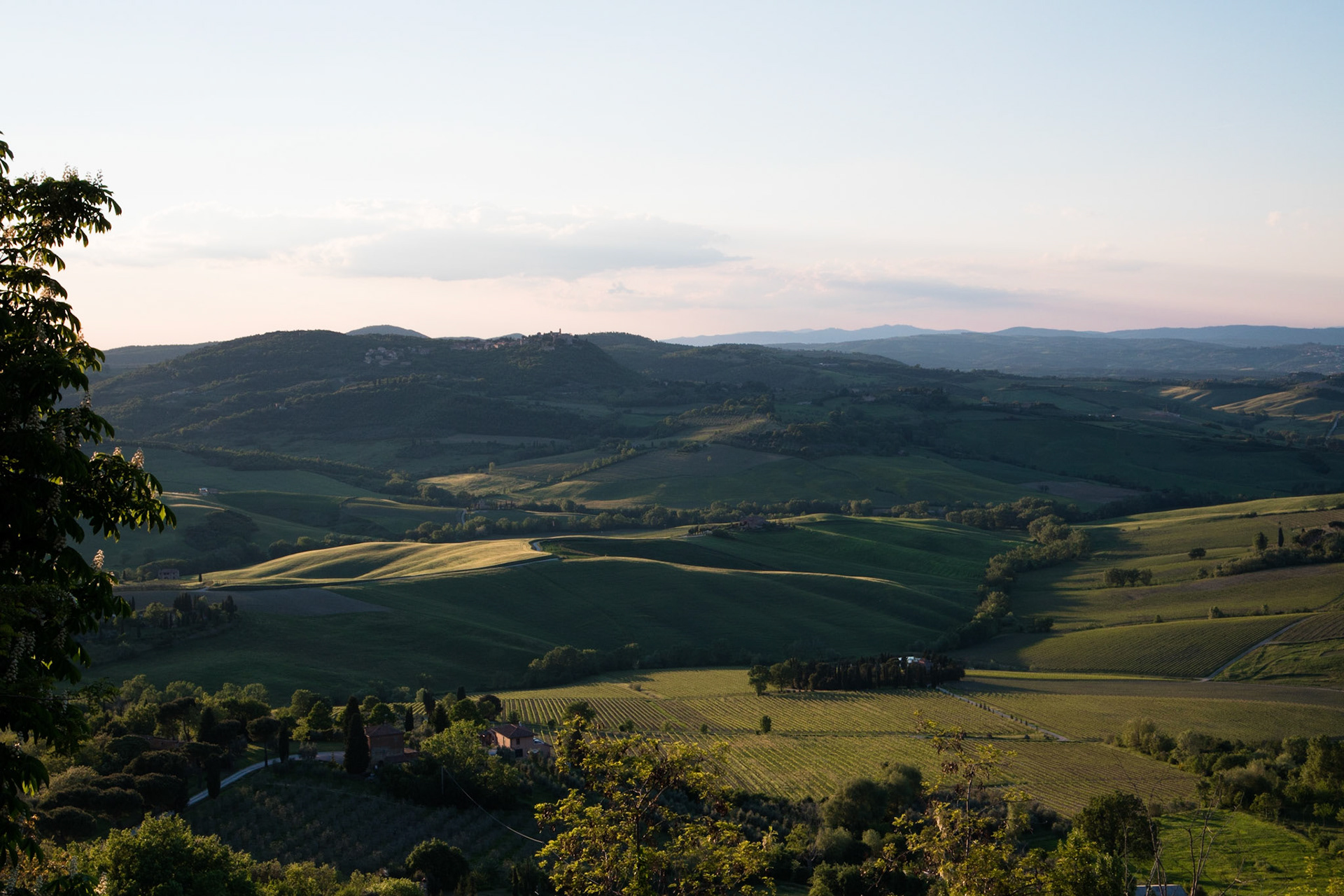 Late evening view towards Montefollonico