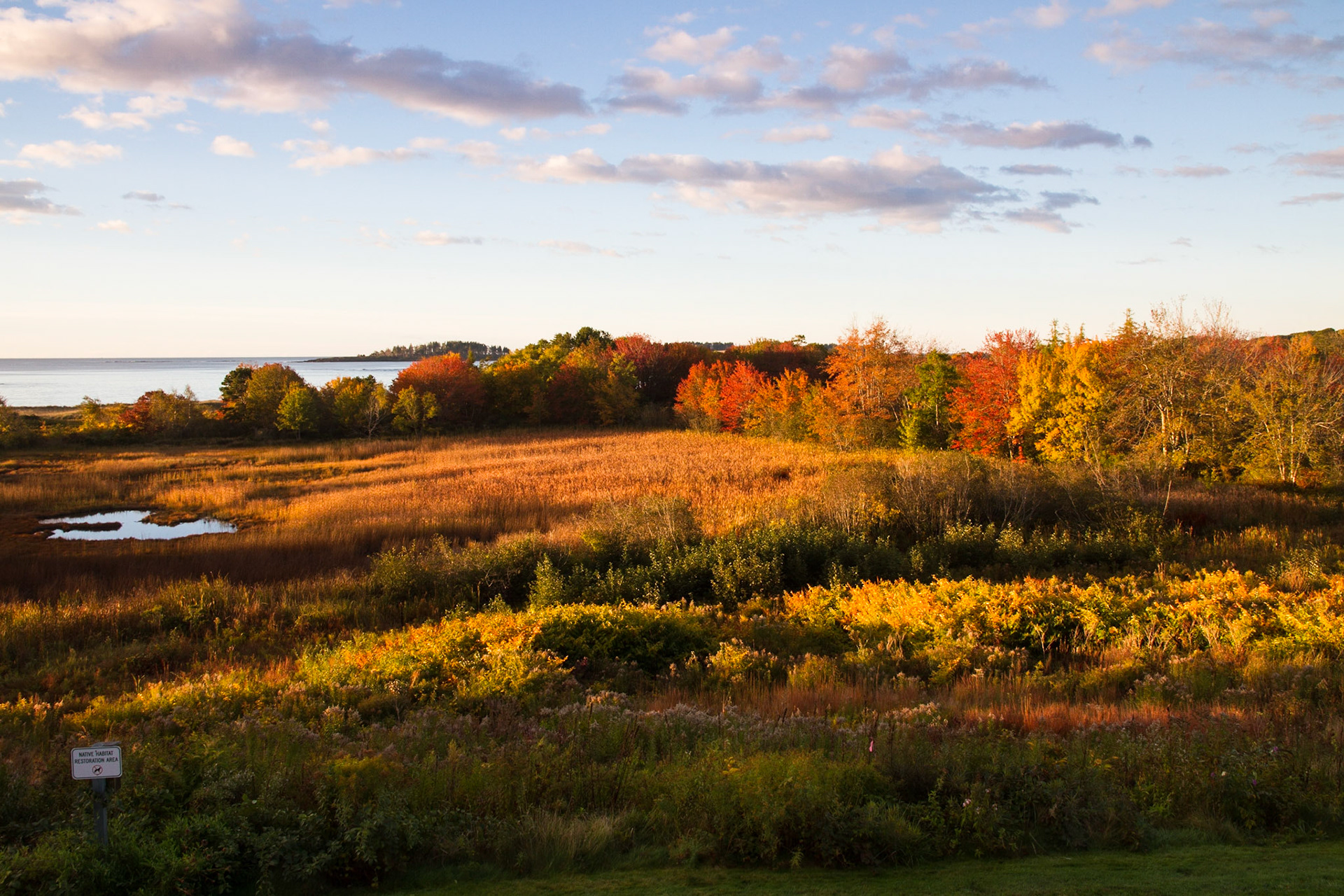Early morning view from our room, Inn By the Sea