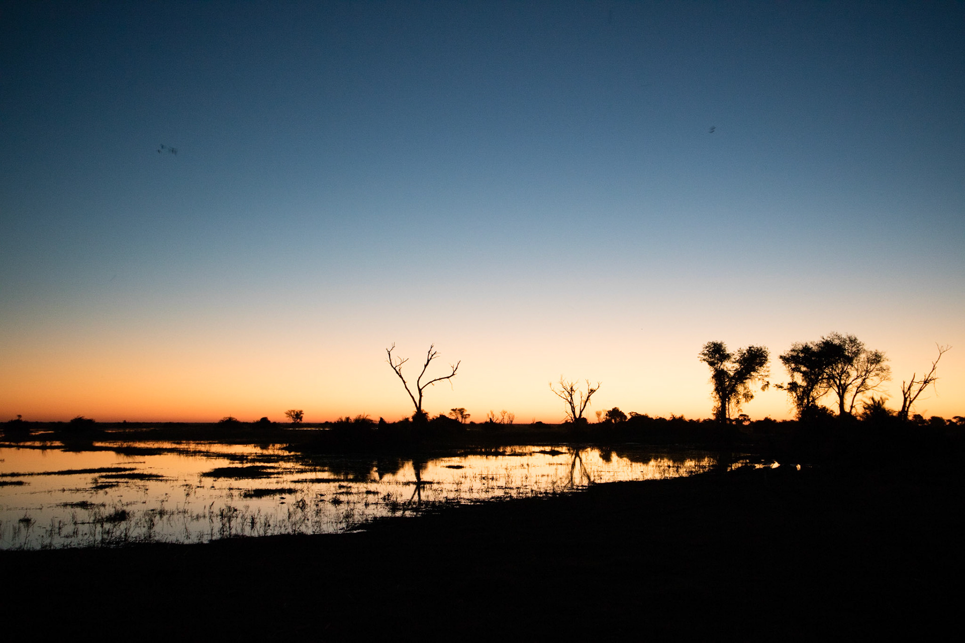 Sunset in the Okavango Delta