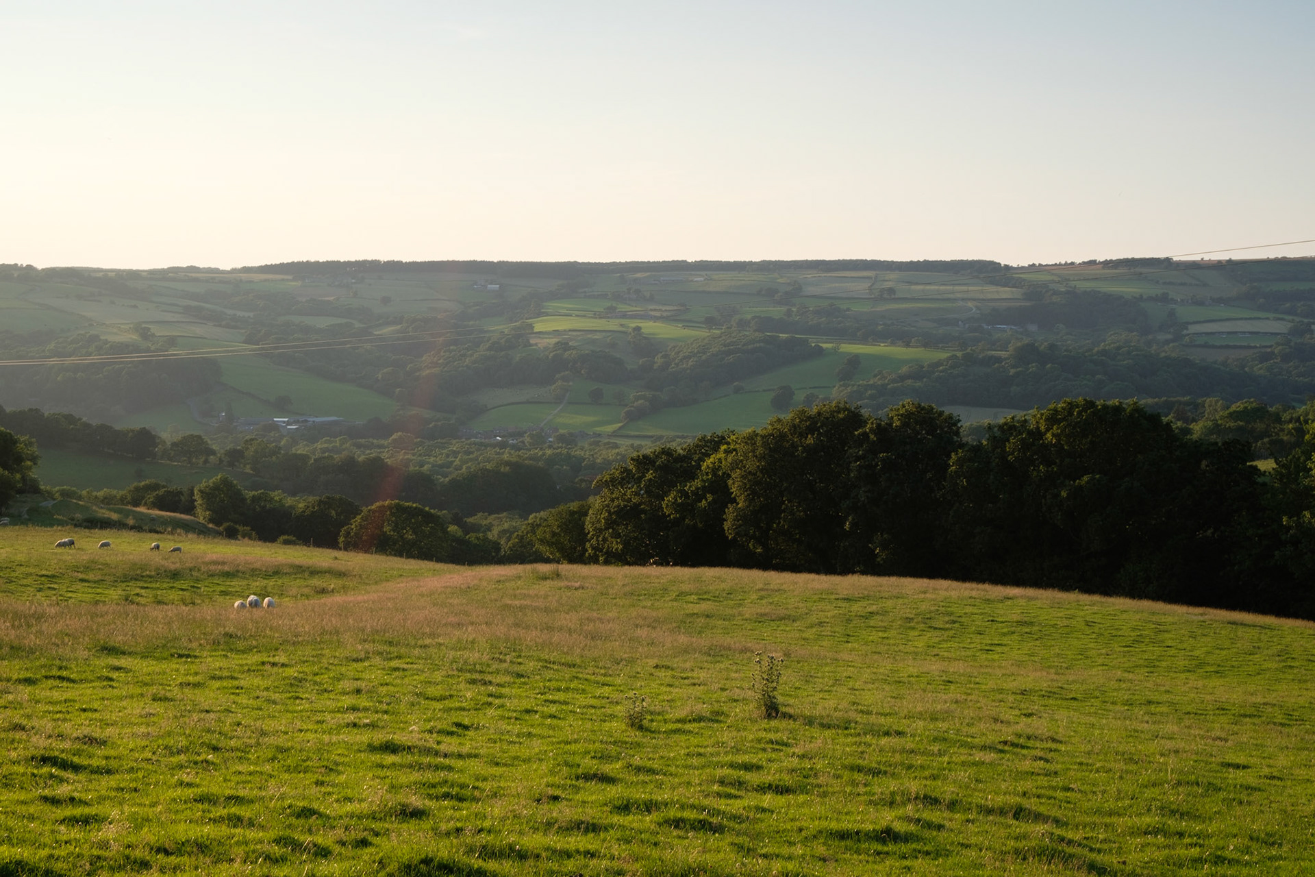 Evening view from Hollyhock