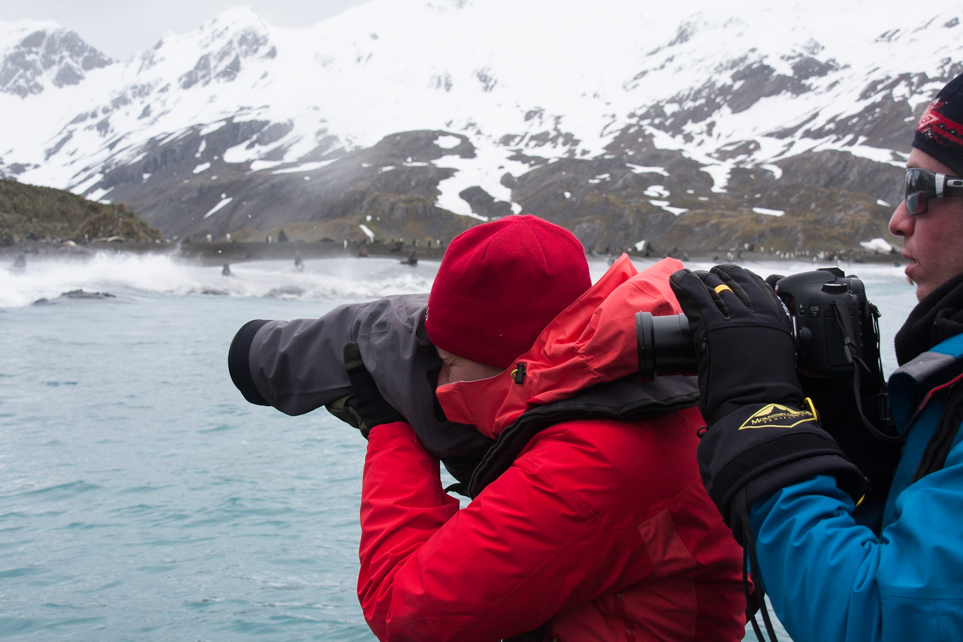 Zodiac cruise, Right Whale Bay
