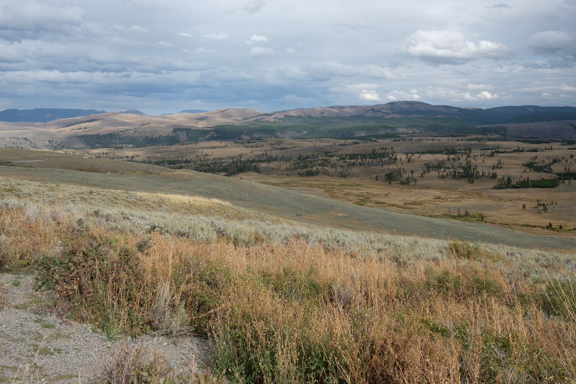 View from Dunraven Pass