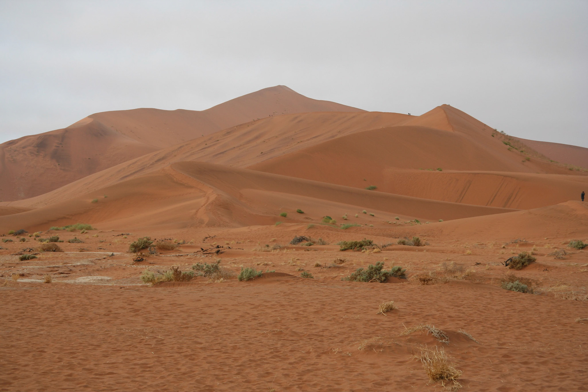 Dunes at Dead Vlei