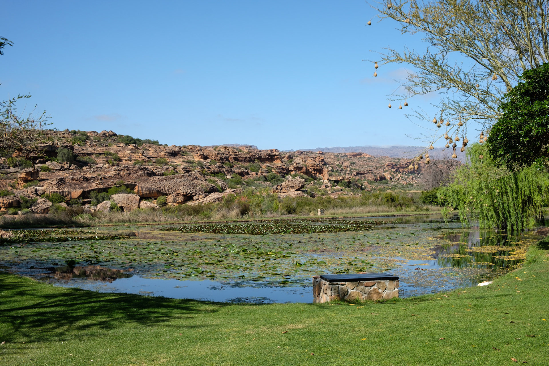 Pond at Bushmans Kloof