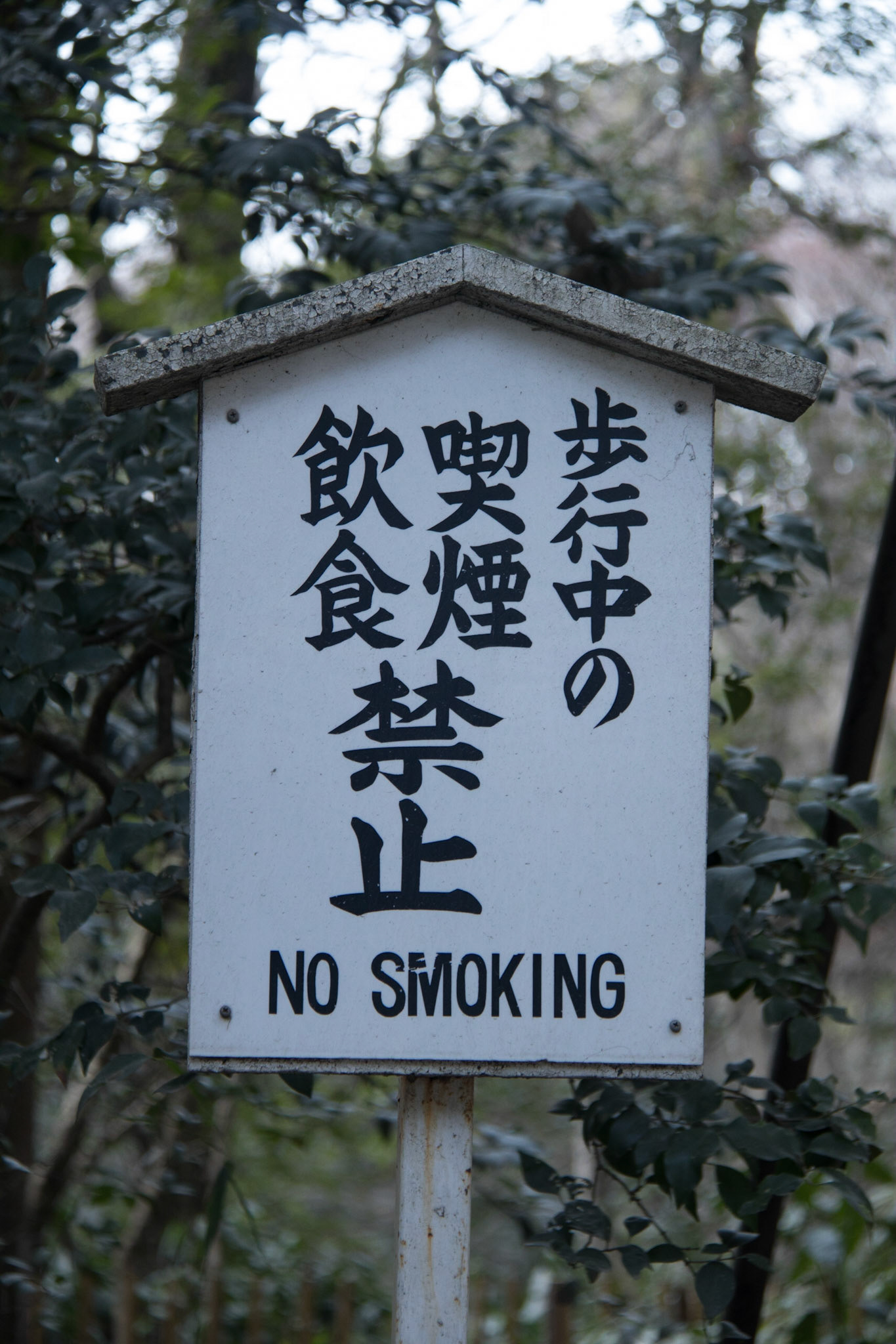 A lot of characters to say "No Smoking"!