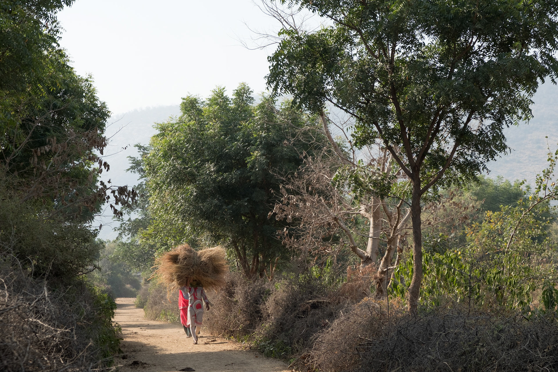 Birkadi early morning village walk