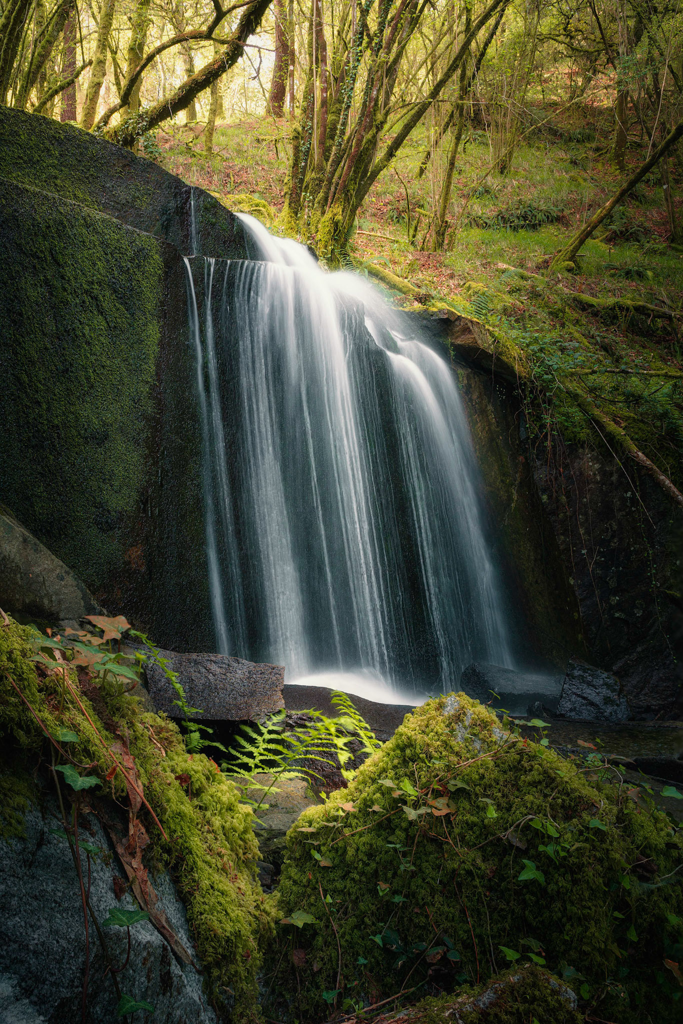 LIGHT IN THE WATERFALL