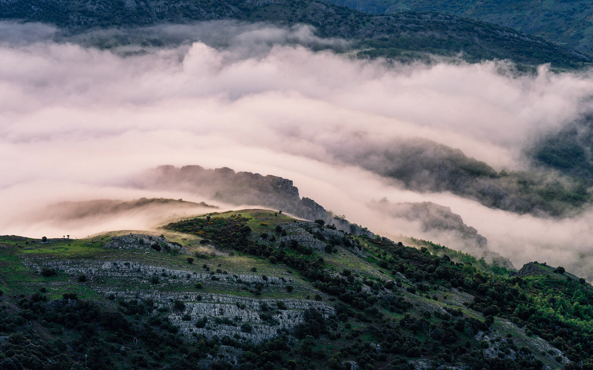 LIGHT, FOG AND MOUNTAINS