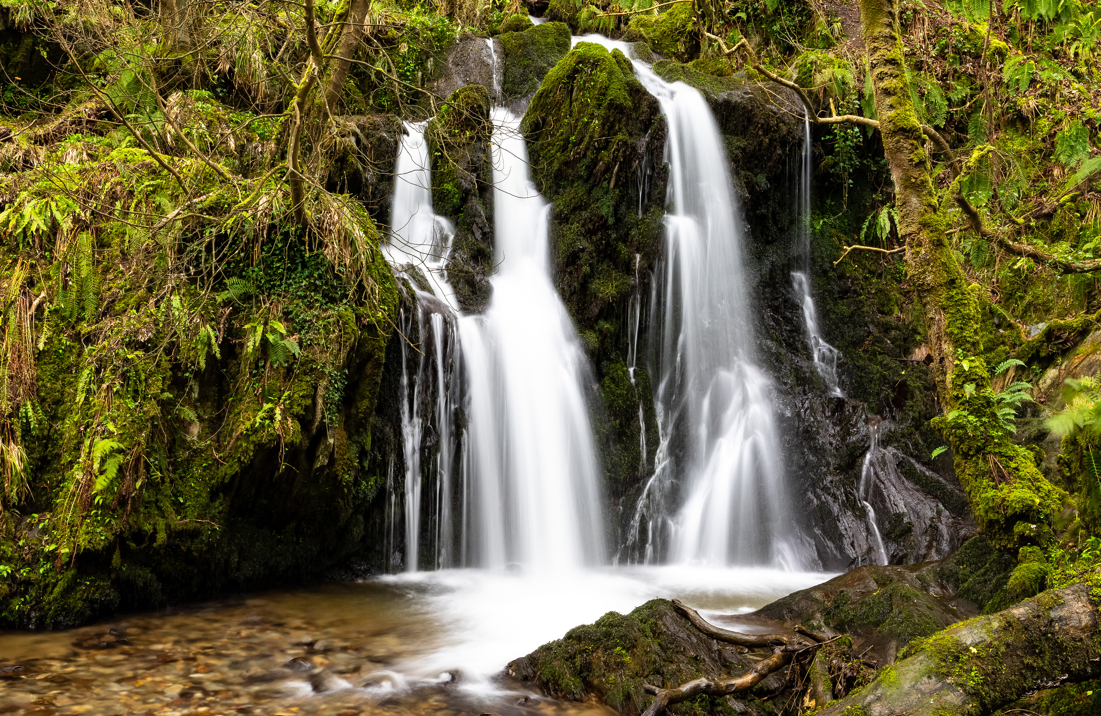 Aberfforest Waterfall, Pembrokeshire Wales