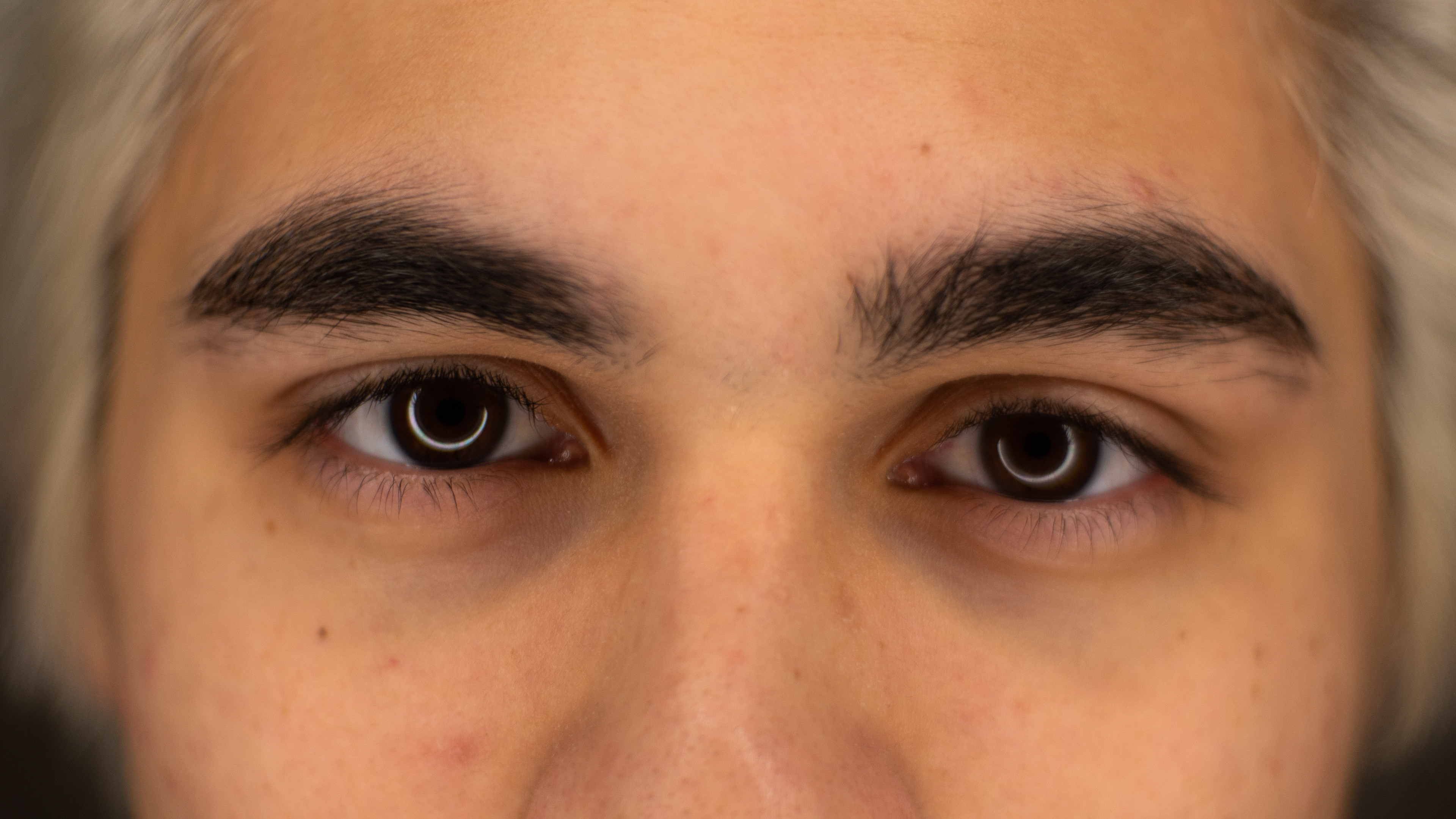 ALEC PACHECO (Theatre and Performance '22) began working with Full Fathom when performing in the Fall 2018 show "Dorian Gray." After becoming a board member for F.F. he wrote and directed the one Act "Synth" in the spring of 2019. Outside of the company he spends his time writing and performing with his sketch troupe Emerson Comedy Workshop. His most recent performance was his Emerson Stage debut in Lisa D'amours workshop production of "Mad Moon." (Paddy)
