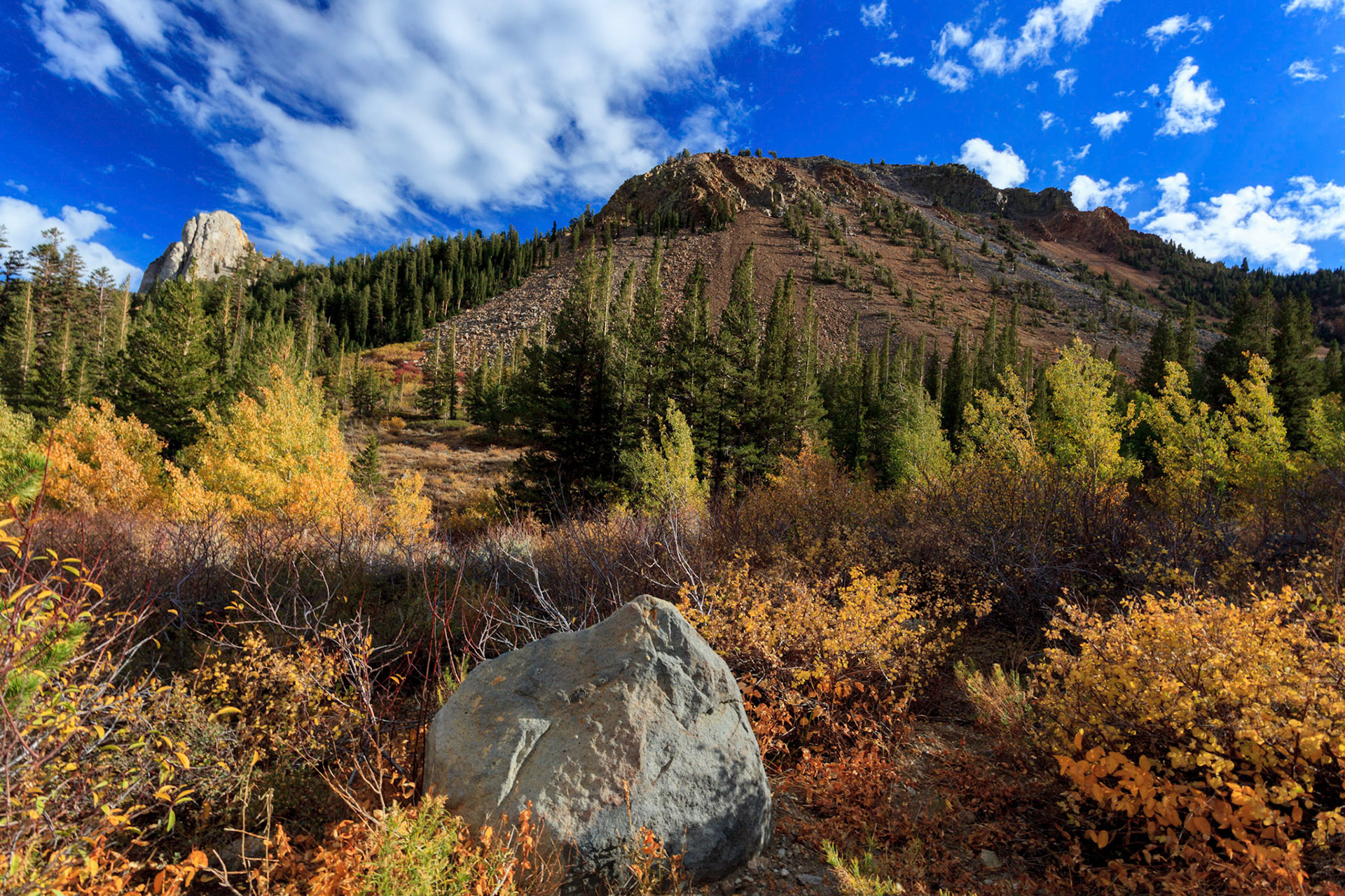 Old Mammoth Road