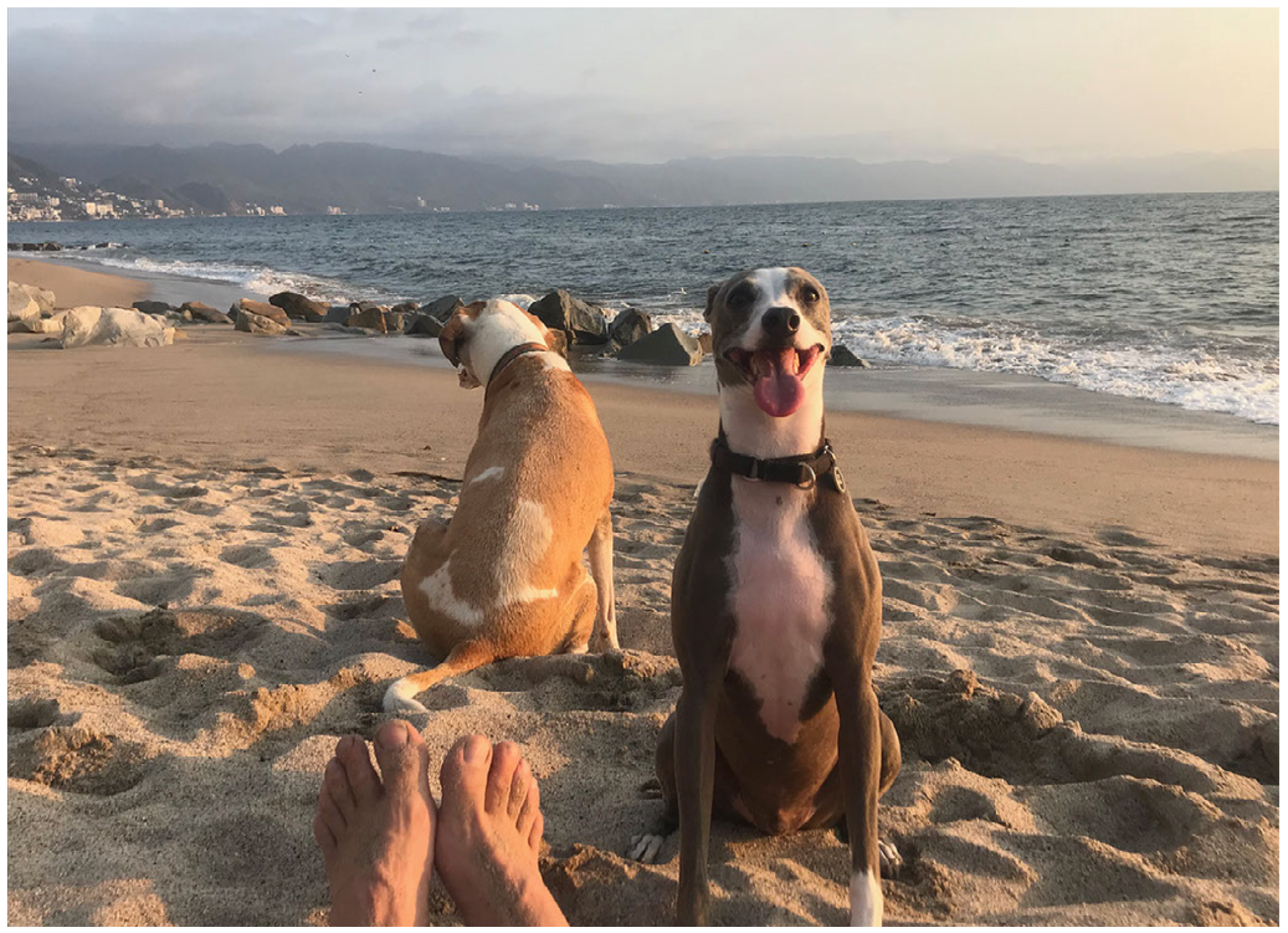 Massimo and Effie on the beach