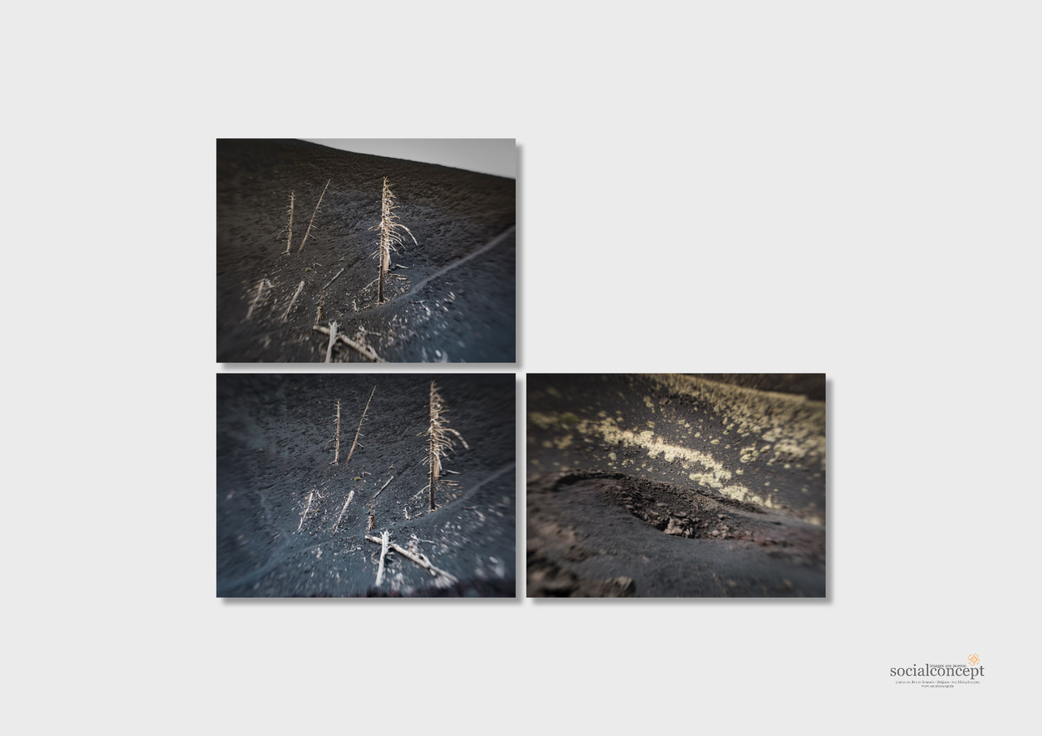Sentiments d'iddu 8, triptyque