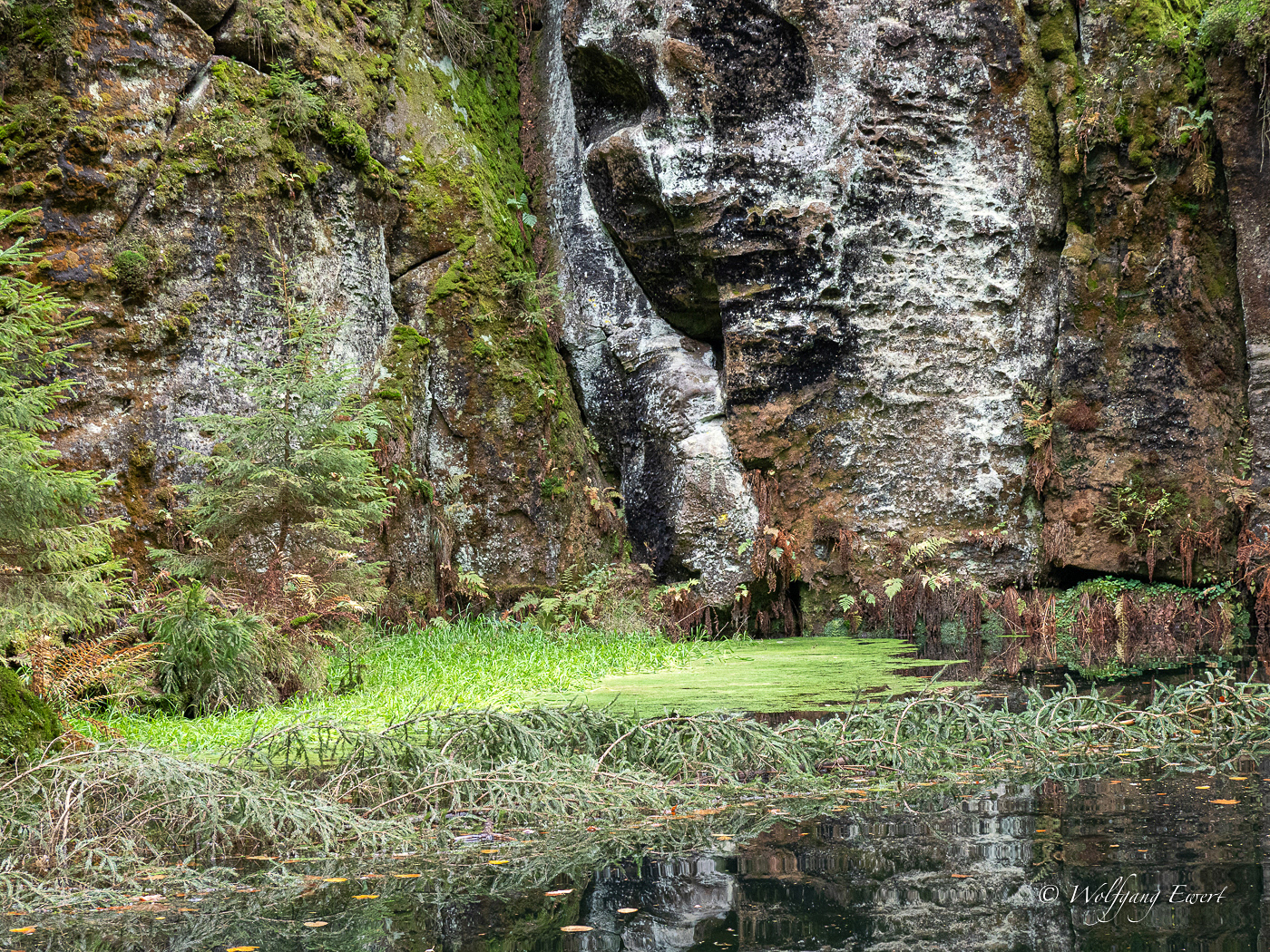 In der Kirnitzschklamm
