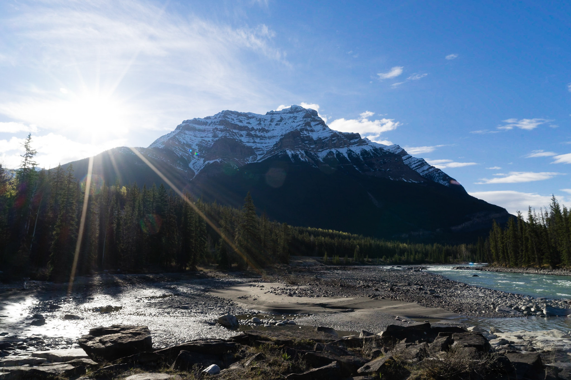 Icefield Parkway between Jasper and Saskatchewan River Crossing, Ab.