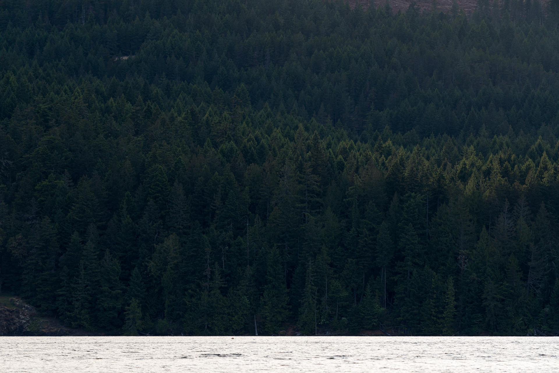 Comox Lake on Vancouver Island
