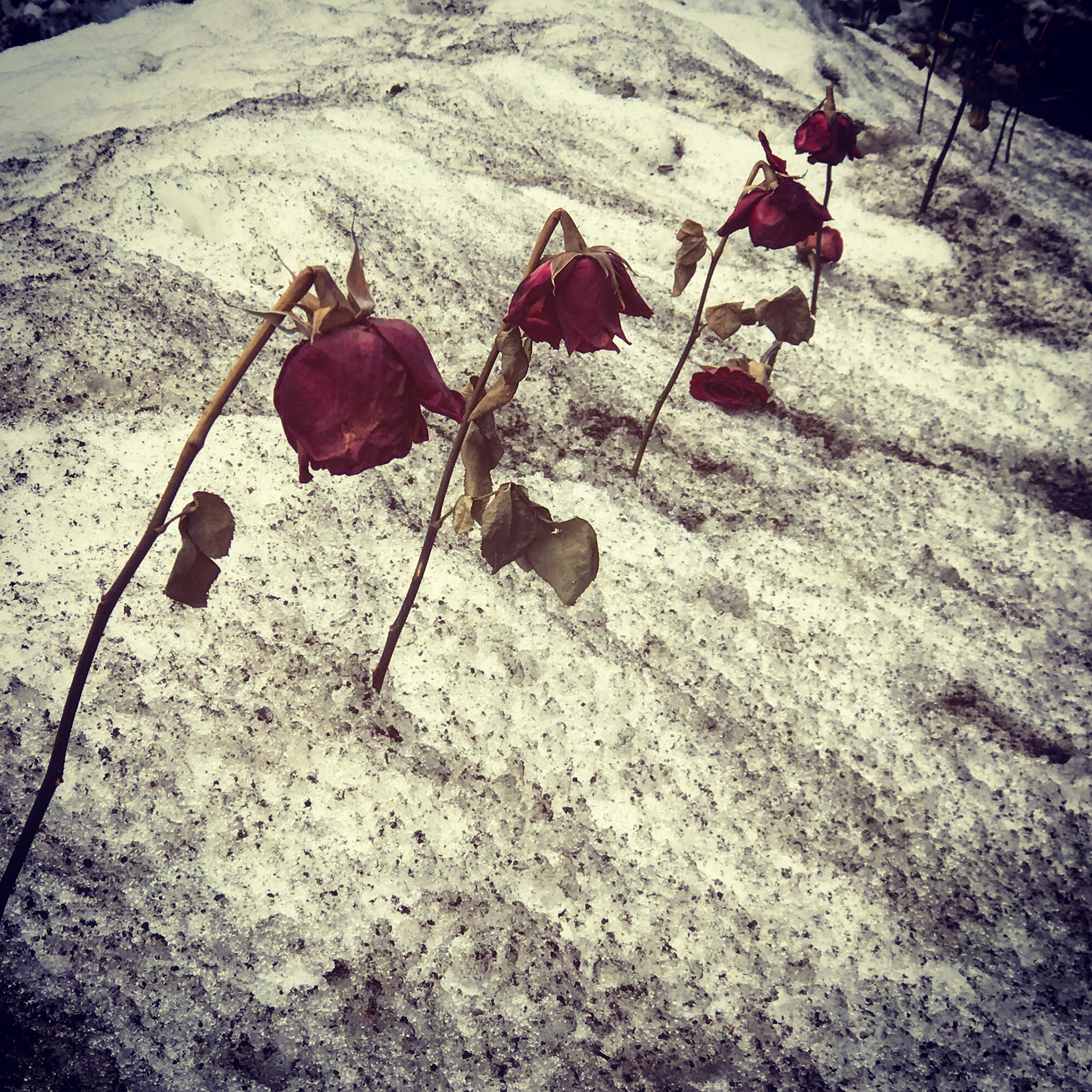 The Real Meaning of Valentine's Day