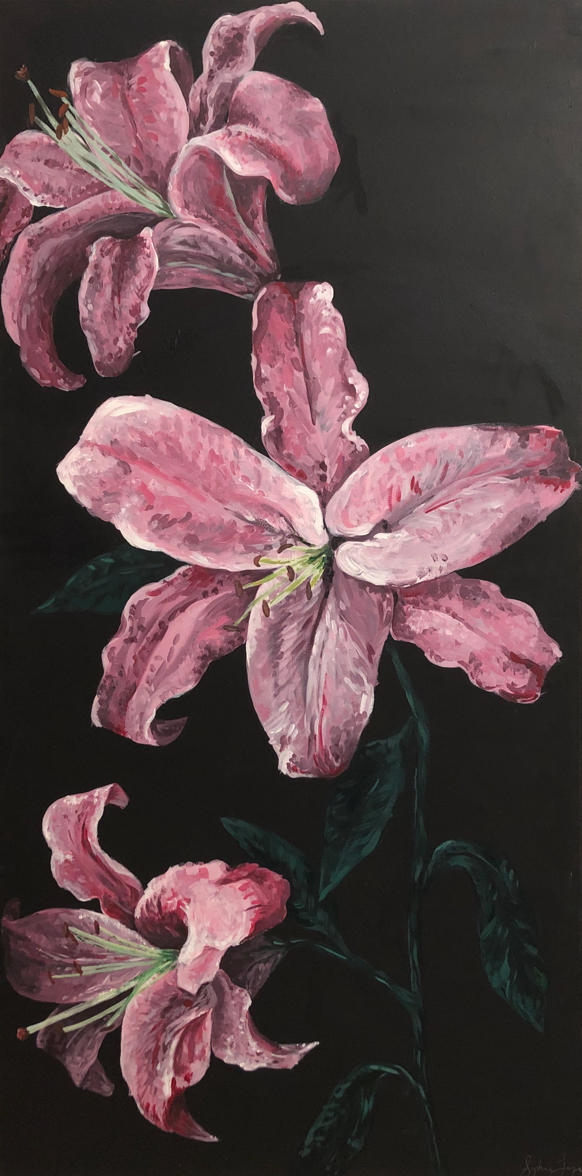 Sophia Laye, Lilies, Painting, Hathaway Brown School, Educator: Jamie Morse, Grade 12,  Honorable Mention