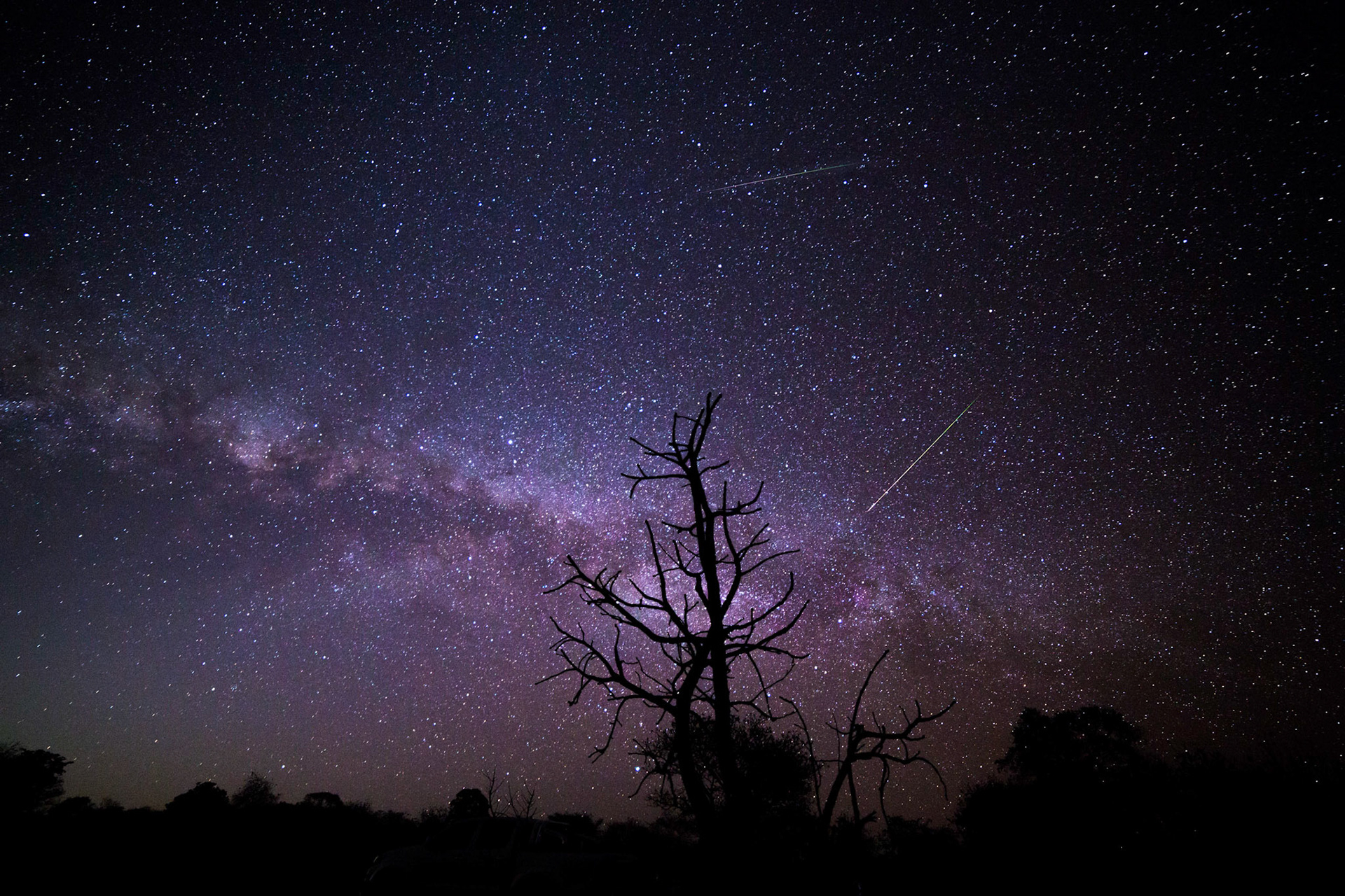 Perseids Meteor Shower 2016