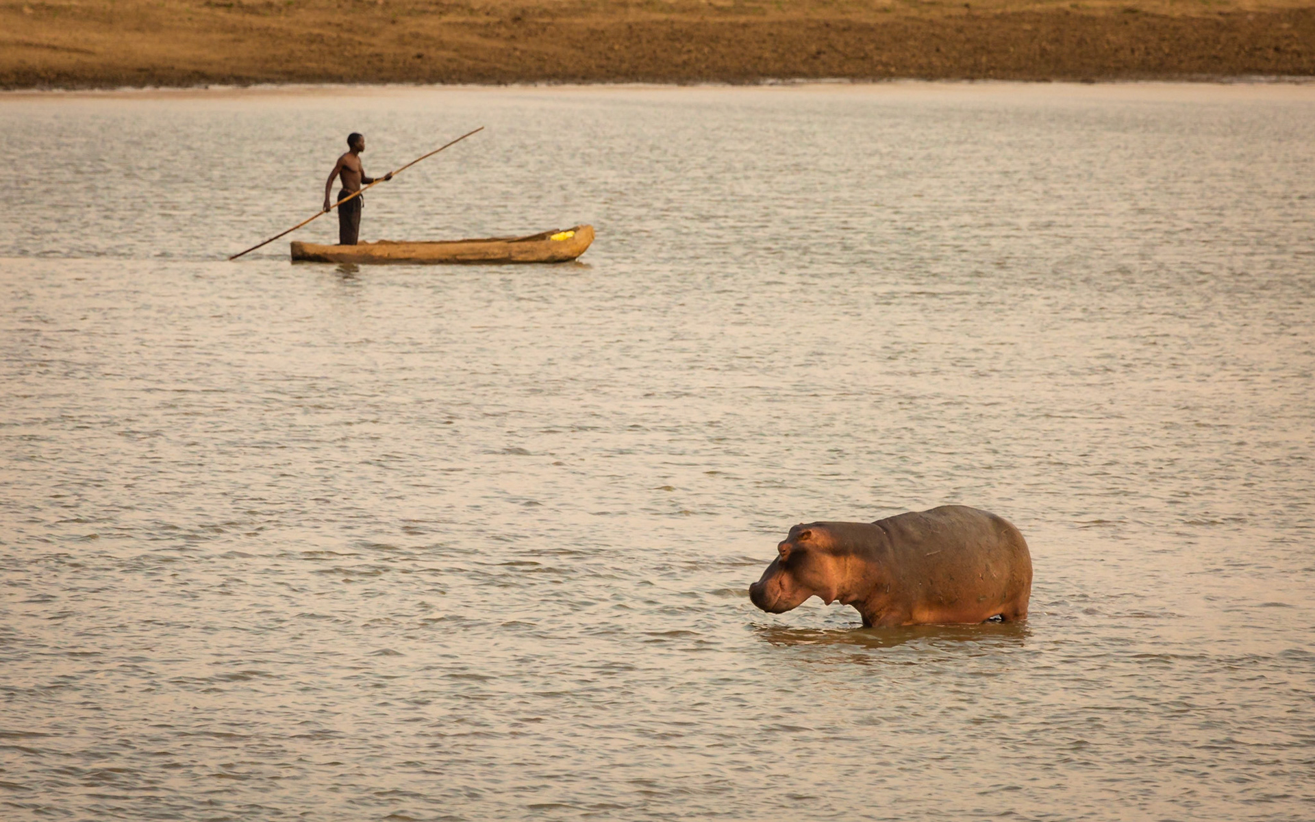 Life In The Luangwa Valley