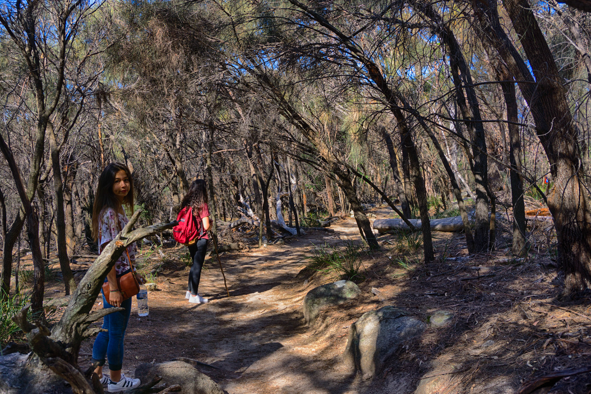 Marche de 6h pour parcourir le Freycinet national park.