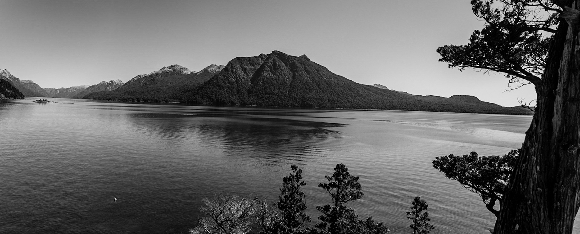 LAGO MORENO