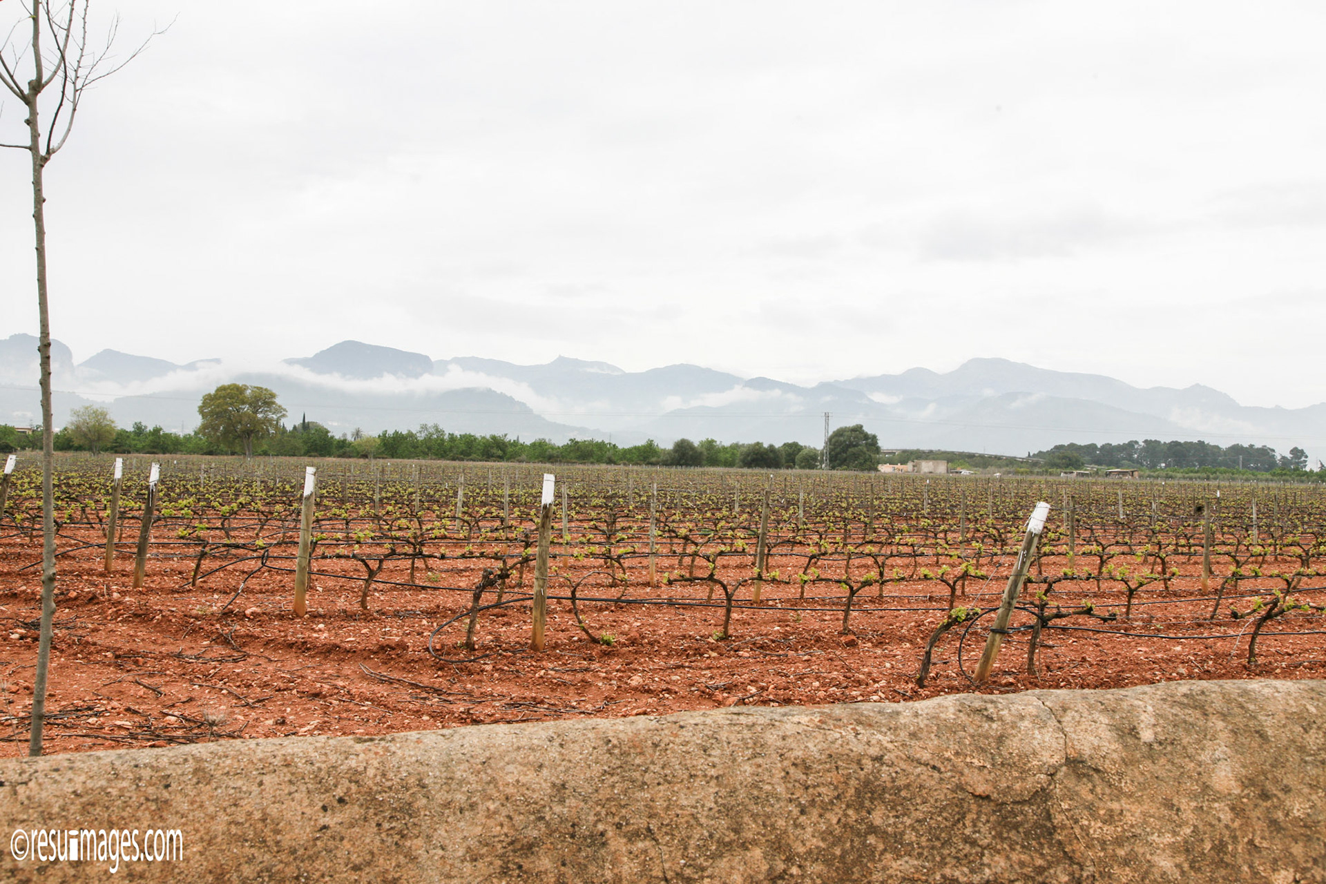 Illetes, Mallorca, ESP