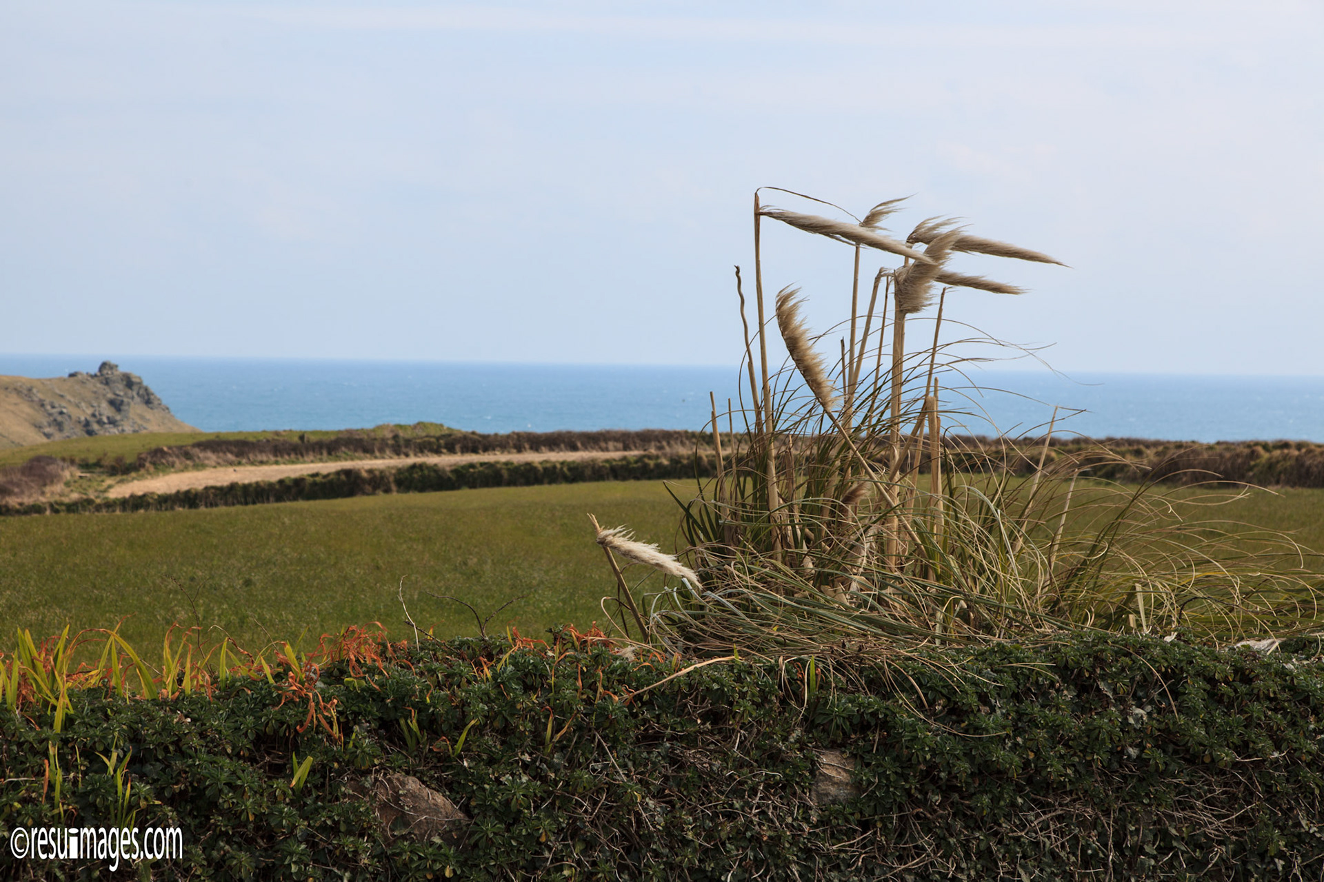 Lizard, Cornwall, GBR