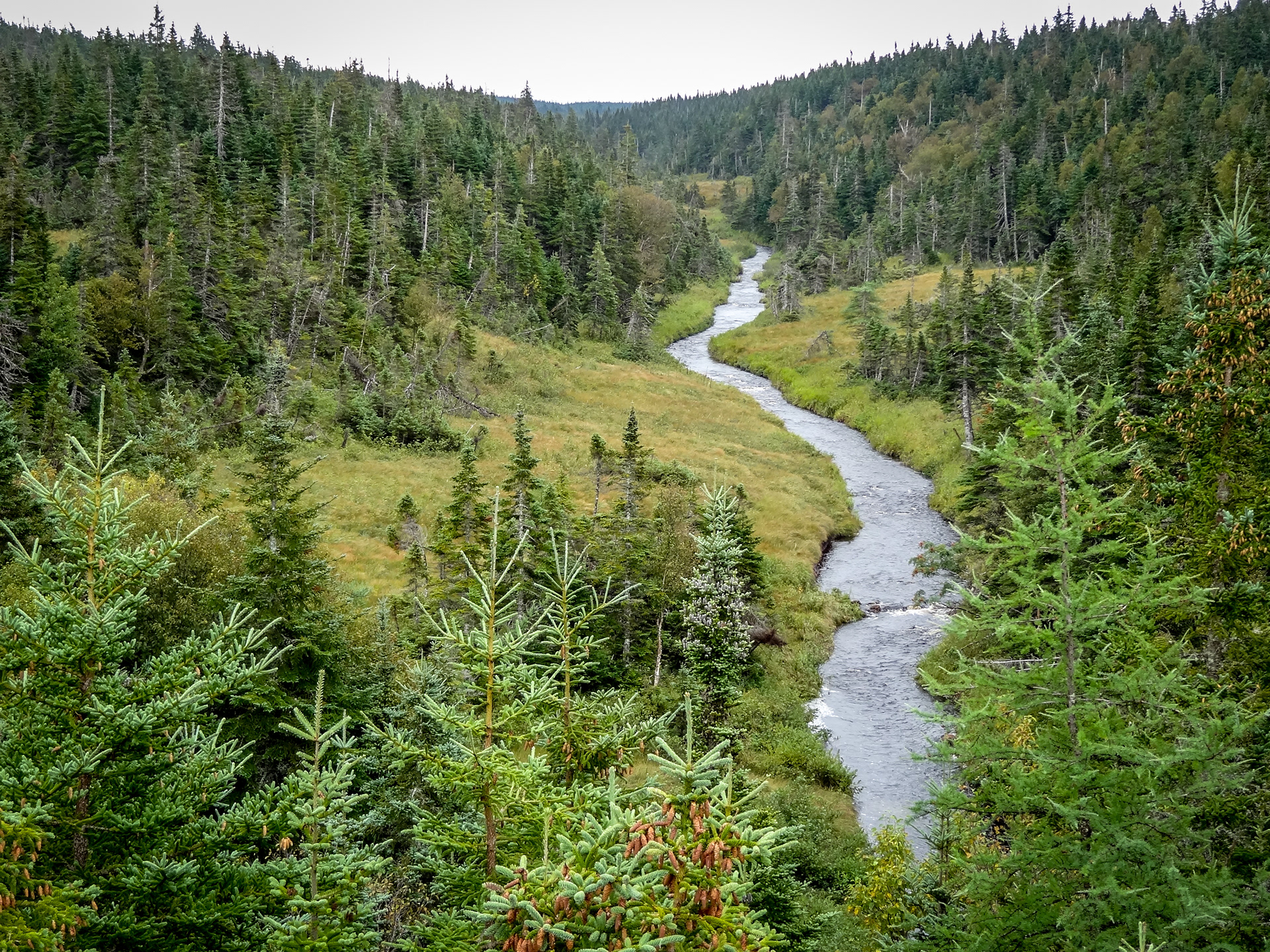 New Brunswick stream