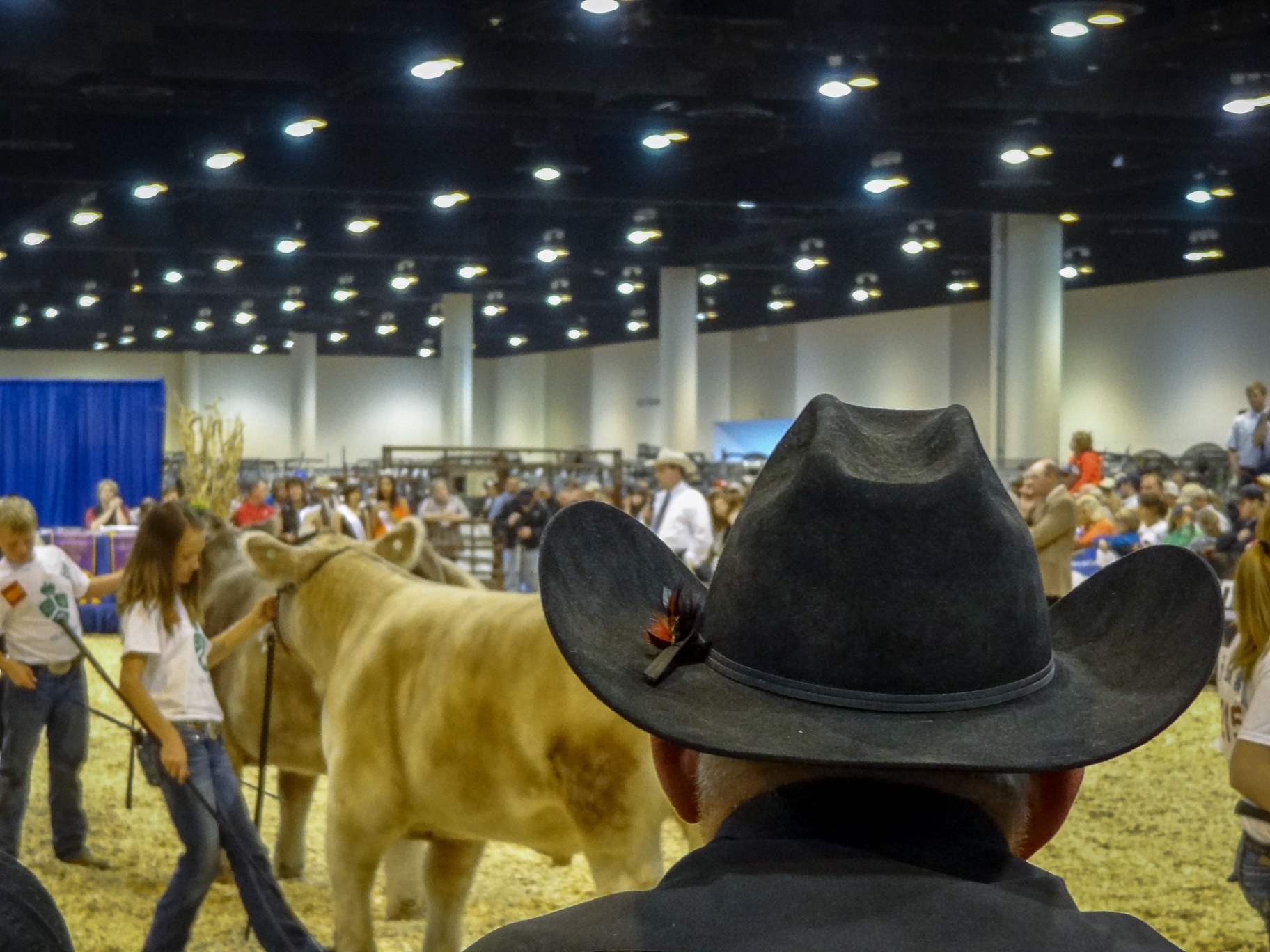 Nebraska, Omaha rodeo