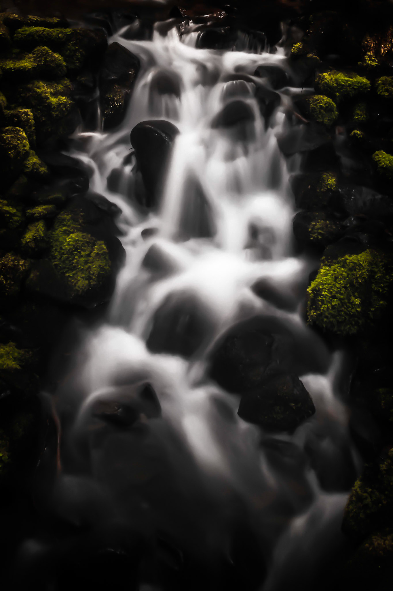 Small Falls along the Path to Sol Duc Falls, Olympic National Park, Washington
