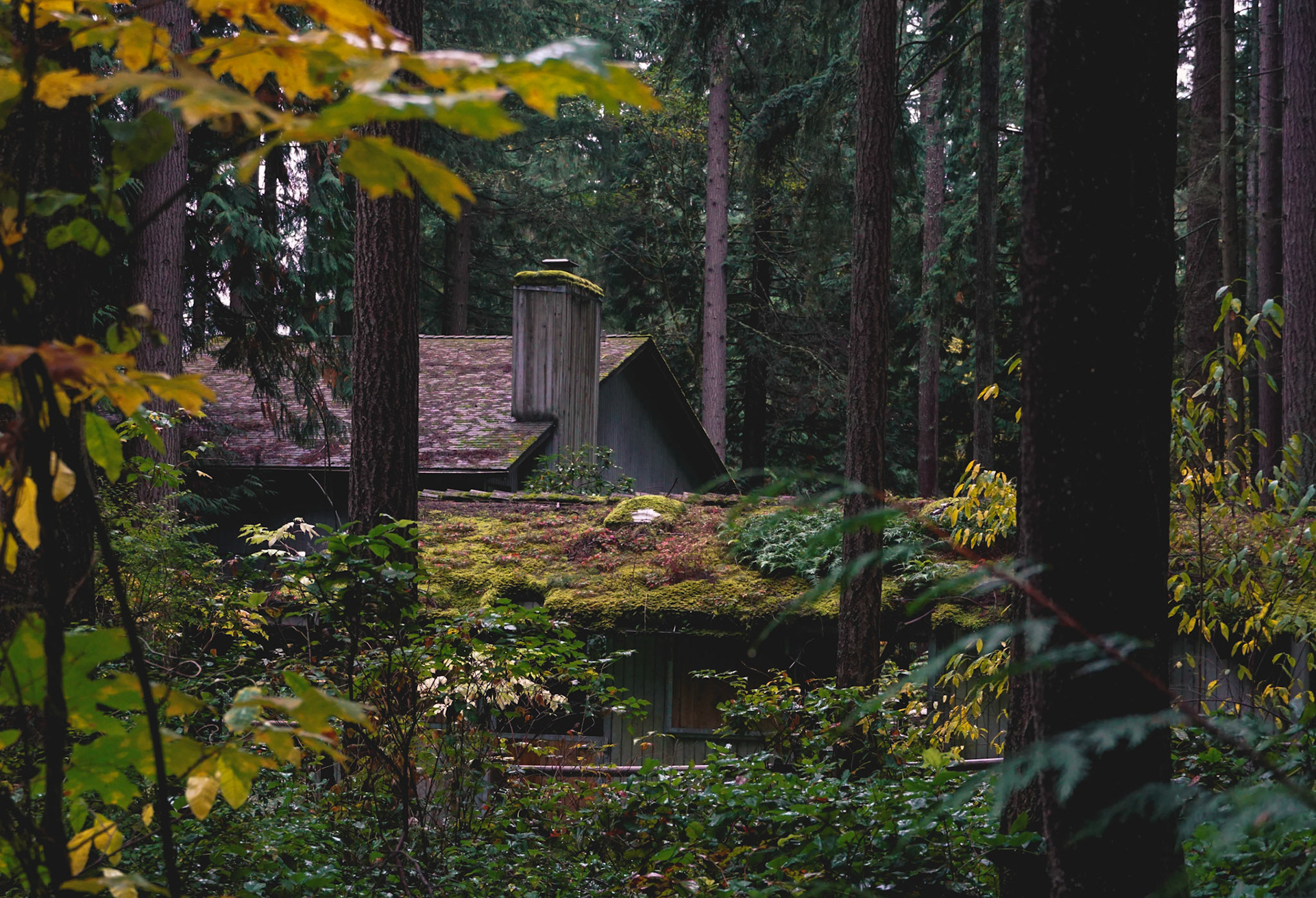 Bridle Trails State Park 2019