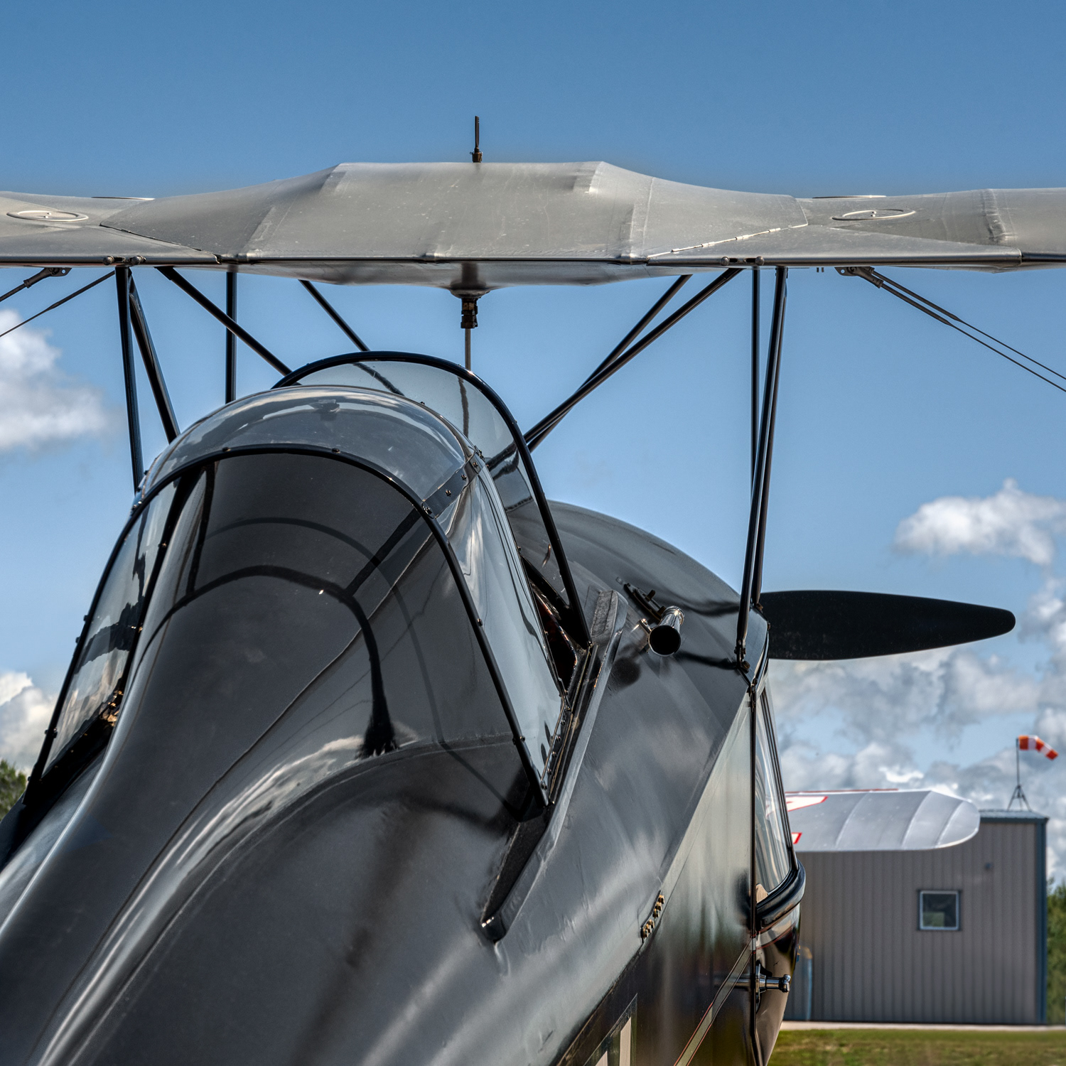 1932 Fox Moth © Irwin Seidman