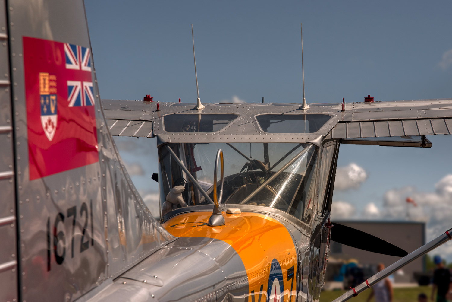 1956 Cessna Bird Dog © Irwin Seidman